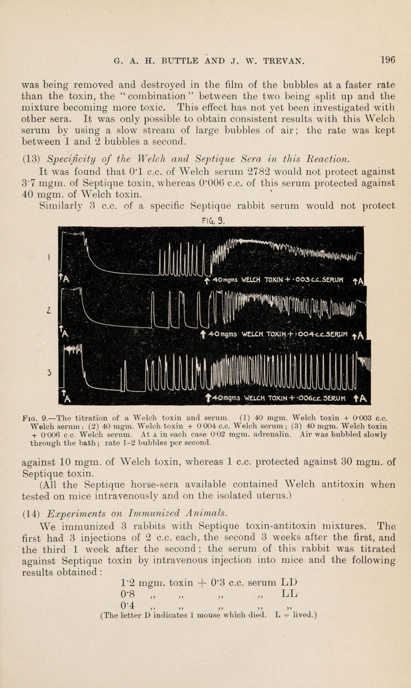 was being removed and destroyed in the film of the bubbles at a faster rate than the toxin, the “ combination ” between the two being split up and the mixture becoming more toxic. This effect has not yet been investigated with other sera. It was only possible to obtain consistent results with this Welch serum by using a slow stream of large bubbles of air; the rate was kept between 1 and 2 bubbles a second. (13) Specificity of the Welch and Septique Sera in this Reaction. It was found that OT c.c. of Welch serum 2782 would not protect against 3'7 mgm. of Septique toxin, whereas 0*006 c.c. of this serum protected against 40 mgm. of Welch toxin. Similarly 3 c.c. of a specific Septique rabbit serum would not protect FIG,. 3. Eig. 9.—The titration of a Welch toxin and serum. (1) 40 mgm. Welch toxin + 0’003 c.c. Welch serum; (2) 40 mgm. Welch toxin + 0 004 c.c. Welch serum ; (3) 40 mgm. Welch toxin + 0 006 c c. Welch serum. At a in each case 0 02 mgm. adrenalin. Air was bubbled slowly through the bath; rate 1-2 bubbles per second. against 10 mgm. of Welch toxin, whereas 1 c.c. protected against 30 mgm. of Septique toxin. (All the Septique horse-sera available contained Welch antitoxin when tested on mice intravenously and on the isolated uterus.) (14) Experiments on Immunized Animals. We immunized 3 rabbits with Septique toxin-antitoxin mixtures. The first had 3 injections of 2 c.c. each, the second 3 weeks after the first, and the third 1 week after the second ; the serum of this rabbit was titrated against Septique toxin by intravenous injection into mice and the following results obtained : 1*2 mgm. toxin + 0*3 c.c. serum LD 0'8 „ „ „ „ LL 0*4 “ >> 5 J 5 J >5 5 > (The letter D indicates 1 mouse which died. L = lived.)