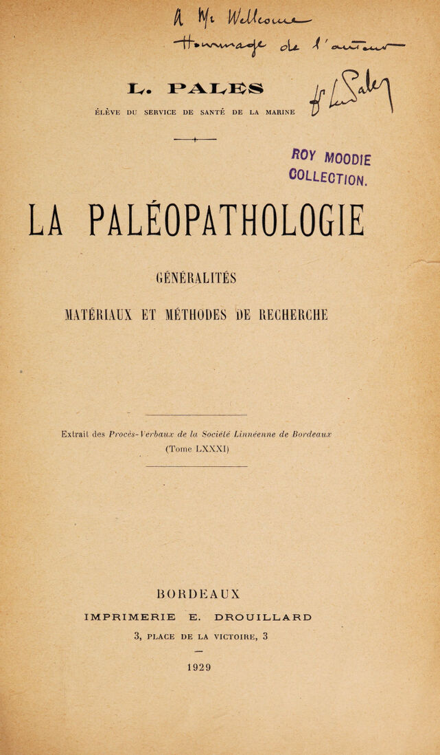 digitised image 3