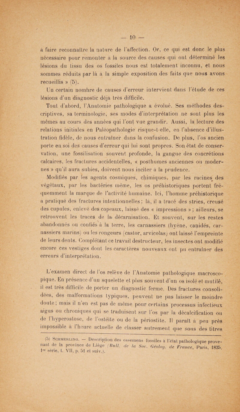 a faire reconnaitre la nature de I’affection. Or, ce qui est done le plus necessaire pour remonter a la source des causes qui out determine les lesions du tissu des os fossiles nous est totalement inconnu, et nous sommes reduits par la a la simple exposition des faits que nous avons recueillis » (5). Un certain nomhre de causes d’erreur intervient dans l’etude de ces lesions d’un diagnostic deja tres difficile. Tout d’abord, 1’Anatomie pathologique a evolue. Ses methodes des- criptives, sa terminologie, ses modes d’interpretation lie sont plus les memes au cours des annees qui font vue grandir. Aussi, la lecture des relations initiates en Paleopathologie risque-t-elle, en [’absence d’illus- tration fidele, de nous entrainer dans la confusion. De plus, l’os ancien porte ensoi des causes d’erreur qui Ini sont propres. Son etat de conser¬ vation, une fossilisation souvent profonde, la gangue des concretions calcaires, les fractures accidentelles, « posthumes anciennes ou moder- nes » qu’il aura subies, doivent nous inciter a la prudence. Modifies par les agents cosmiques, chimiques, par les racines des vegetaux, par les bacteries meme, les os prehistoriques portent fre- quemment la marque de factivite humaine. lei, l’homme prehistorique a pratique des fractures intentionnelles; la, il a trace des stries, creuse des cupules, enleve des copeaux, laisse des cc impressions » ; ailleurs, se retrouvent les traces de la- decarnisation. Et souvent, sur les restes abandonnes ou confies a la terre, les carnassiers (hyene, canides, car- nassiers marins) ou les rongeurs (castor, arvicolasj ont laisse l’empreinte de leurs dents. Completantce travail destructeur, les insectes ont modifie encore ces vestiges (lout les carafe teres nouveaux ont pu entrainer des erreurs d’interpretation. L examen direct de I os releve de l’Anatomie pathologique macrosco- pique. En presence d’un squelette etplus souvent d'un os isole et mutile, il est tres dilficile de porter un diagnostic ferme. Des fractures consoli- dees, des malformations typiqu.es, peuvent lie pas iaisser le moindre doute, mais il n en est pas de meme pour certains processus infectieux aigus ou chroniques qui se traduisent sur l’os par la decalcification ou de I hyperostose, de 1 osteite ou de la periostite. II parait a pen pres impossible a l heure actuelle de classer autrement que sous des titres (d) Sghmerlin<j. — Description des ossemens fossiles a Petal pathologique prove- nant de la province de Liege (Bull, de la Soc. Geolog. de France, Paris, 1835 lre serie, t. VII, p. 51 et suiv.).