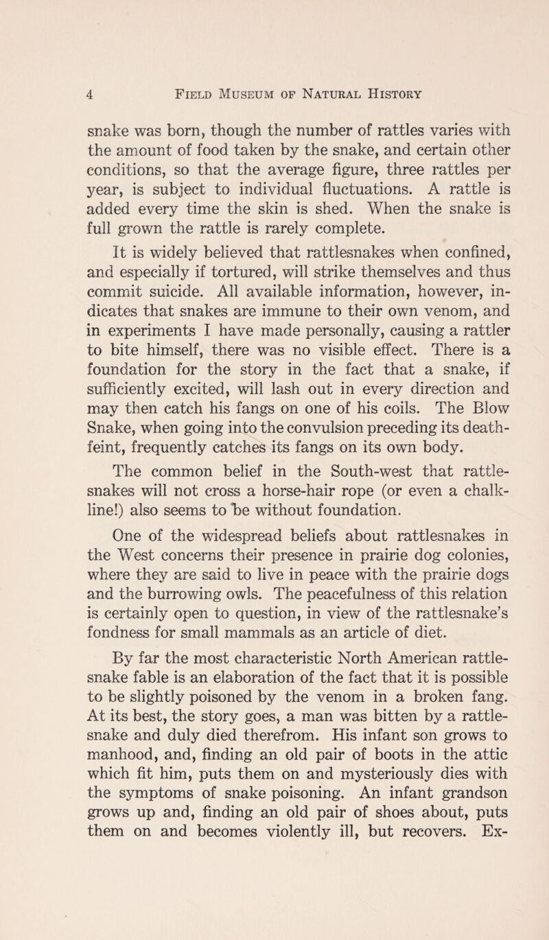 snake was born, though the number of rattles varies with the amount of food taken by the snake, and certain other conditions, so that the average figure, three rattles per year, is subject to individual fluctuations. A rattle is added every time the skin is shed. When the snake is full grown the rattle is rarely complete. It is widely believed that rattlesnakes when confined, and especially if tortured, will strike themselves and thus commit suicide. All available information, however, in¬ dicates that snakes are immune to their own venom, and in experiments I have made personally, causing a rattler to bite himself, there was no visible effect. There is a foundation for the story in the fact that a snake, if sufficiently excited, will lash out in every direction and may then catch his fangs on one of his coils. The Blow Snake, when going into the convulsion preceding its death- feint, frequently catches its fangs on its own body. The common belief in the South-west that rattle¬ snakes will not cross a horse-hair rope (or even a chalk¬ line!) also seems to be without foundation. One of the widespread beliefs about rattlesnakes in the West concerns their presence in prairie dog colonies, where they are said to live in peace with the prairie dogs and the burrowing owls. The peacefulness of this relation is certainly open to question, in view of the rattlesnake’s fondness for small mammals as an article of diet. By far the most characteristic North American rattle¬ snake fable is an elaboration of the fact that it is possible to be slightly poisoned by the venom in a broken fang. At its best, the story goes, a man was bitten by a rattle¬ snake and duly died therefrom. His infant son grows to manhood, and, finding an old pair of boots in the attic which fit him, puts them on and mysteriously dies with the symptoms of snake poisoning. An infant grandson grows up and, finding an old pair of shoes about, puts them on and becomes violently ill, but recovers. Ex-