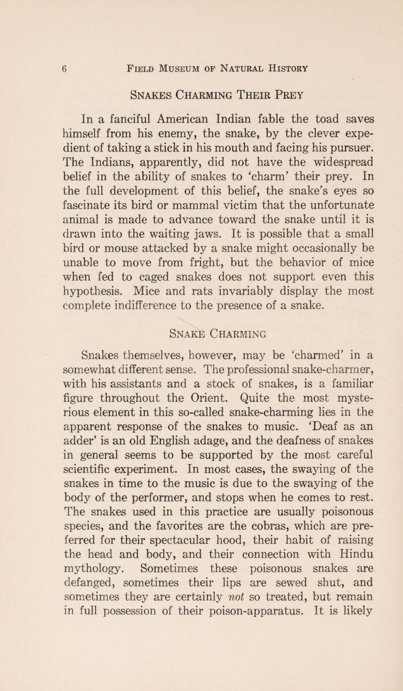 Snakes Charming Their Prey In a fanciful American Indian fable the toad saves himself from his enemy, the snake, by the clever expe¬ dient of taking a stick in his mouth and facing his pursuer. The Indians, apparently, did not have the widespread belief in the ability of snakes to 'charm’ their prey. In the full development of this belief, the snake’s eyes so fascinate its bird or mammal victim that the unfortunate animal is made to advance toward the snake until it is drawn into the waiting jaws. It is possible that a small bird or mouse attacked by a snake might occasionally be unable to move from fright, but the behavior of mice when fed to caged snakes does not support even this hypothesis. Mice and rats invariably display the most complete indifference to the presence of a snake. Snake Charming Snakes themselves, however, may be ‘charmed’ in a somewhat different sense. The professional snake-charmer, with his assistants and a stock of snakes, is a familiar figure throughout the Orient. Quite the most myste¬ rious element in this so-called snake-charming lies in the apparent response of the snakes to music. ‘Deaf as an adder’ is an old English adage, and the deafness of snakes in general seems to be supported by the most careful scientific experiment. In most cases, the swaying of the snakes in time to the music is due to the swaying of the body of the performer, and stops when he comes to rest. The snakes used in this practice are usually poisonous species, and the favorites are the cobras, which are pre¬ ferred for their spectacular hood, their habit of raising the head and body, and their connection with Hindu mythology. Sometimes these poisonous snakes are defanged, sometimes their lips are sewed shut, and sometimes they are certainly not so treated, but remain in full possession of their poison-apparatus. It is likely