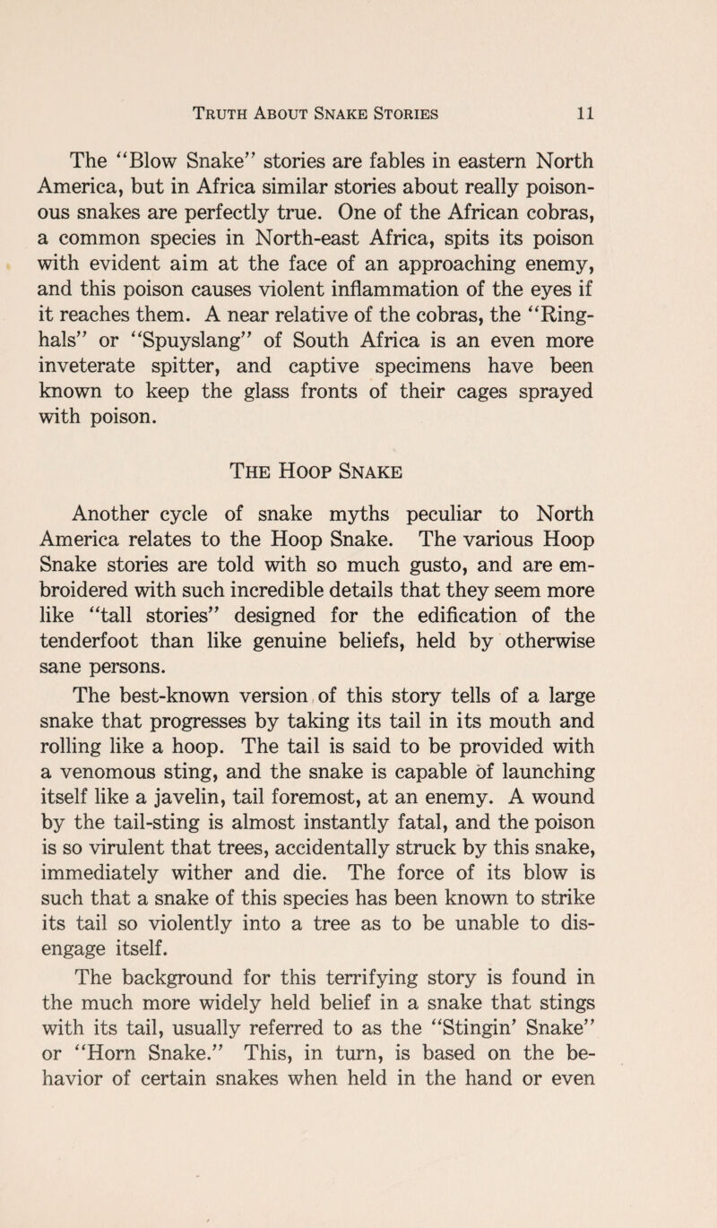 The “Blow Snake'’ stories are fables in eastern North America, but in Africa similar stories about really poison¬ ous snakes are perfectly true. One of the African cobras, a common species in North-east Africa, spits its poison with evident aim at the face of an approaching enemy, and this poison causes violent inflammation of the eyes if it reaches them. A near relative of the cobras, the “Ring- hals or “Spuyslang of South Africa is an even more inveterate spitter, and captive specimens have been known to keep the glass fronts of their cages sprayed with poison. The Hoop Snake Another cycle of snake myths peculiar to North America relates to the Hoop Snake. The various Hoop Snake stories are told with so much gusto, and are em¬ broidered with such incredible details that they seem more like “tall stories designed for the edification of the tenderfoot than like genuine beliefs, held by otherwise sane persons. The best-known version of this story tells of a large snake that progresses by taking its tail in its mouth and rolling like a hoop. The tail is said to be provided with a venomous sting, and the snake is capable of launching itself like a javelin, tail foremost, at an enemy. A wound by the tail-sting is almost instantly fatal, and the poison is so virulent that trees, accidentally struck by this snake, immediately wither and die. The force of its blow is such that a snake of this species has been known to strike its tail so violently into a tree as to be unable to dis¬ engage itself. The background for this terrifying story is found in the much more widely held belief in a snake that stings with its tail, usually referred to as the “Stingin' Snake or “Horn Snake. This, in turn, is based on the be¬ havior of certain snakes when held in the hand or even