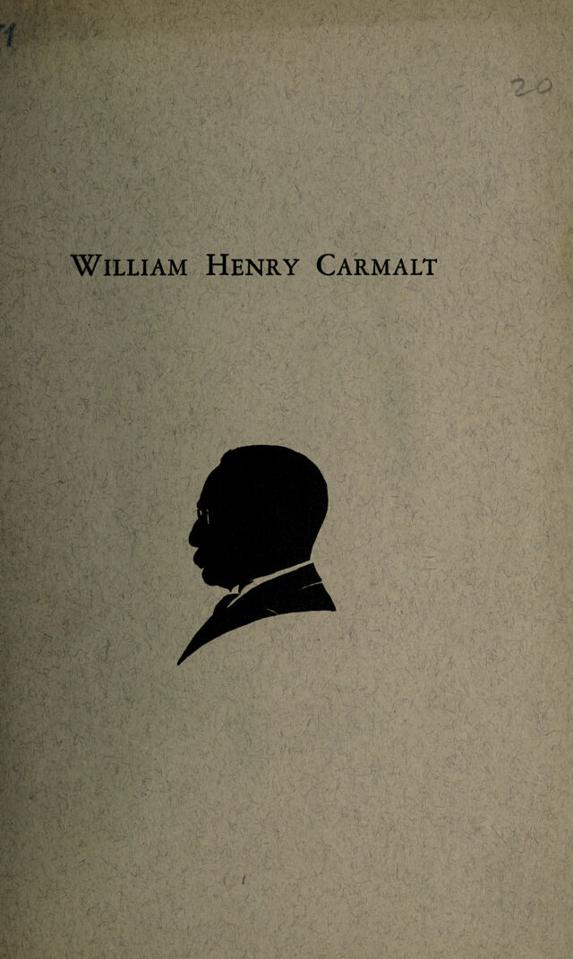 digitised image 1