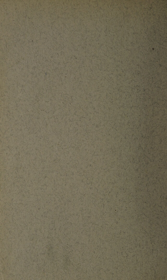 digitised image 2