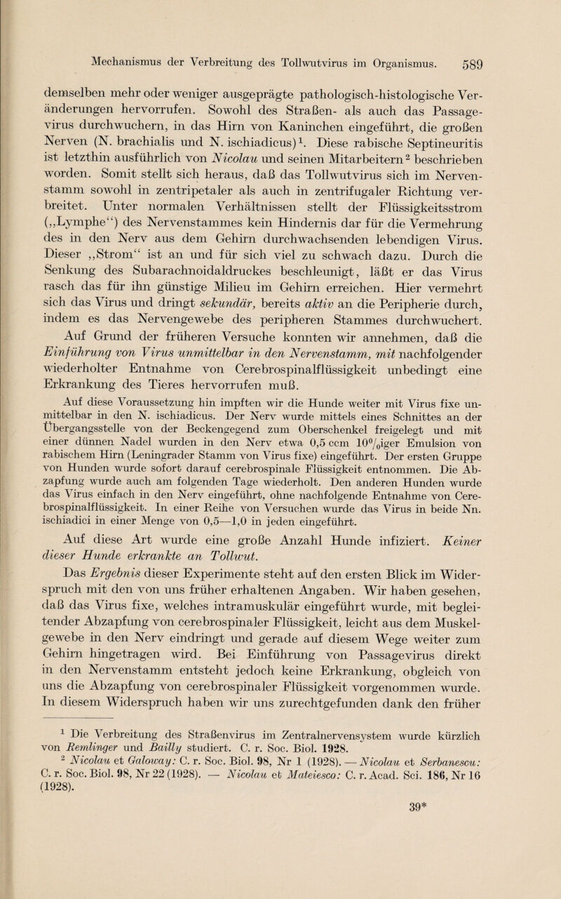 demselben mehr oder weniger ausgepragte pathologisch-histologische Ver- anderungen hervorrufen. Sowohl des StraBen- als auch das Passage- virus durchwuchern, in das Hirn von Kaninchen eingefiihrt, die groBen Nerven (N. brachialis und N. ischiadicus)1. Diese rabiscbe Septineuritis ist letzthin ausfiihrlich von Nicolau und seinen Mitarbeitern 2 beschrieben worden. Somit stelit sich heraus, daB das Tollwutvirus sich im Nerven- stamm sowohl in zentripetaler als auch in zentrifugaler Bichtung ver- breitet. Unter normalen Verhaltnissen stelit der Fliissigkeitsstrom (,,Lymphe‘‘) des Nervenstammes kein Hindernis dar fur die Vermehrung des in den Nerv aus dem Gehirn durchwachsenden lebendigen Virus. Dieser „Strom“ ist an und fur sich viel zu schwach dazu. Durch die Senkung des Subarachnoidaldruckes beschleunigt, laBt er das Virus rasch das fur ihn giinstige Milieu im Gehirn erreichen. Hier vermehrt sich das Virus und dringt sekundar, bereits aktiv an die Peripherie durch, indem es das Nervengewebe des peripheren Stammes durchwuchert. Auf Grund der friiheren Versuche konnten wir annehmen, daB die Einfuhrung von Virus unmittelbar in den Nervenstamm, mit nachfolgender wiederholter Entnahme von Cerebrospinalflussigkeit unbedingt eine Erkrankung des Tieres hervorrufen muB. Auf diese Voraussetzung hin impften wir die Hunde welter mit Virus fixe un¬ mittelbar in den N. ischiadicus. Der Nerv wurde mittels eines Schnittes an der Ubergangsstelle von der Beckengegend zum Oberschenkel freigelegt und mit einer diinnen Nadel wurden in den Nerv etwa 0,5 com 10%iger Emulsion von rabischem Hirn (Leningrader Stamm von Virus fixe) eingefiihrt. Der ersten Gruppe von Hunden wurde sofort darauf cerebrospinale Fiussigkeit entnommen. Die Ab- zapfung wurde auch am folgenden Tage wiederholt. Den anderen Hunden wurde das Virus einfach in den Nerv eingefiihrt, ohne nachfolgende Entnahme von Cere¬ brospinalflussigkeit. In einer Reihe von Versuchen wurde das Virus in beide Nn. ischiadici in einer Menge von 0,5—1,0 in jeden eingefiihrt. Auf diese Art wurde eine groBe Anzahl Hunde infiziert. Keiner dieser Hunde erkrankte an Tollwut. Das Ergebnis dieser Experimente steht auf den ersten Blick im Wider- spruch mit den von uns friiher erhaltenen Angaben. Wir haben gesehen, daB das Virus fixe, welches intramuskular eingefiihrt wurde, mit beglei- tender Abzapfung von cerebrospinaler Fiussigkeit, leicht aus dem Muskel- gewebe in den Nerv eindringt und gerade auf diesem Wege we iter zum Gehirn hingetragen wird. Bei Einfiihrung von Passage virus direkt in den Nervenstamm entsteht jedoch keine Erkrankung, obgleich von uns die Abzapfung von cerebrospinaler Fiussigkeit vorgenommen wurde. In diesem Widerspruch haben wir uns zurechtgefunden dank den friiher 1 Die Verbreitung des StraBenvirus im Zentralnervensystem wurde kiirzlich von Remlinger und Bailly studiert. C. r. Soc. Biol. 1928. 2 Nicolau et Galoway: C. r. Soc. Biol. 98, Nr 1 (1928). — Nicolau et Serbanescu: C. r. Soc. Biol. 98, Nr 22 (1928). — Nicolau efc Mateiesco: C. r. Acad. Sci. 186, Nr 16 (1928). 39*