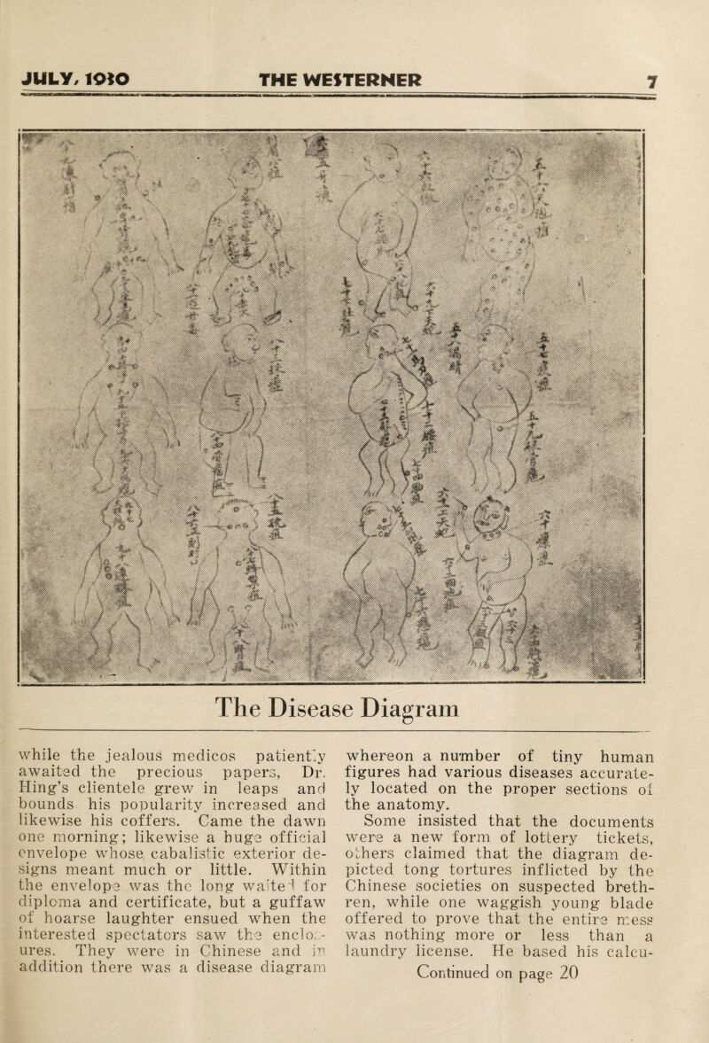 The Disease Diagram while the jealous medicos patiently awaited the precious papers, Dr. Hing’s clientele grew in leaps and bounds his popularity increased and likewise his coffers. Came the dawn one morning; likewise a huge official envelope wrhose, cabalistic exterior de¬ signs meant much or little. Within the envelope was the long waited for diploma and certificate, but a guffaw of hoarse laughter ensued when the interested spectators saw the enclos¬ ures. They were in Chinese and in addition there was a disease diagram whereon a number of tiny human figures had various diseases accurate¬ ly located on the proper sections oi the anatomy. Some insisted that the documents were a new form of lottery tickets, others claimed that the diagram de¬ picted tong tortures inflicted by the Chinese societies on suspected breth¬ ren, while one waggish young blade offered to prove that the entire mess was nothing more or less than a laundry license. He based his caleu-