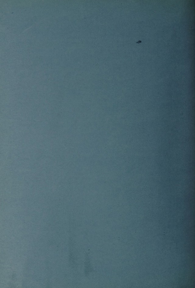 digitised image 2