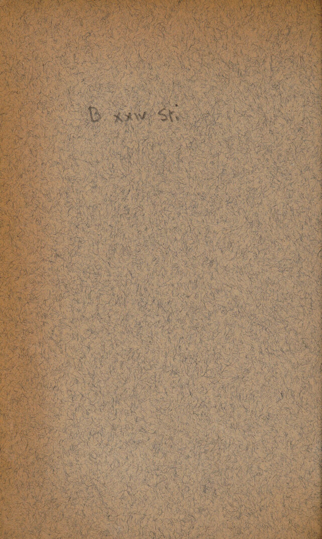 digitised image 2