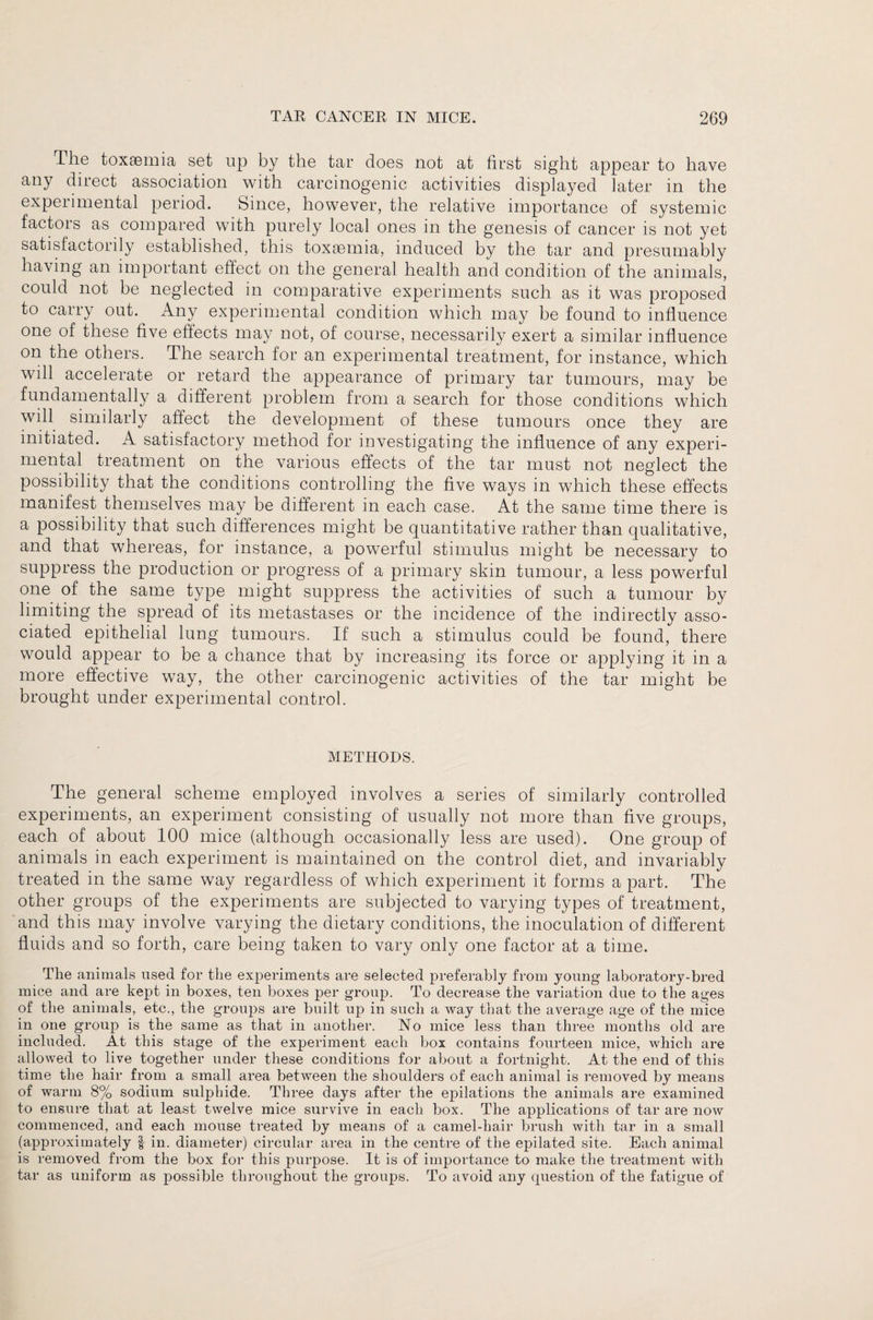 The toxaemia set up by the tar does not at first sight appear to have any direct association with carcinogenic activities displayed later in the experimental period. Since, however, the relative importance of systemic factors as compared with purely local ones in the genesis of cancer is not yet satisfactorily established, this toxaemia, induced by the tar and presumably having an important effect on the general health and condition of the animals, could not be neglected in comparative experiments such as it was proposed to carry out. Any experimental condition which may be found to influence one of these five effects may not, of course, necessarily exert a similar influence on the others. The search for an experimental treatment, for instance, which will accelerate or retard the appearance of primary tar tumours, may be fundamentally a different problem from a search for those conditions which will similarly affect the development of these tumours once they are initiated. A satisfactory method for investigating the influence of any experi¬ mental treatment on the various effects of the tar must not neglect the possibility that the conditions controlling the five ways in which these effects manifest themselves may be different in each case. At the same time there is a possibility that such differences might be quantitative rather than qualitative, and that whereas, for instance, a powerful stimulus might be necessary to suppress the production or progress of a primary skin tumour, a less powerful one of the same type might suppress the activities of such a tumour by limiting the spread of its metastases or the incidence of the indirectly asso¬ ciated epithelial lung tumours. If such a stimulus could be found, there would appear to be a chance that by increasing its force or applying it in a more effective wTay, the other carcinogenic activities of the tar might be brought under experimental control. METHODS. The general scheme employed involves a series of similarly controlled experiments, an experiment consisting of usually not more than five groups, each of about 100 mice (although occasionally less are used). One group of animals in each experiment is maintained on the control diet, and invariably treated in the same way regardless of which experiment it forms a part. The other groups of the experiments are subjected to varying types of treatment, and this may involve varying the dietary conditions, the inoculation of different fluids and so forth, care being taken to vary only one factor at a time. The animals used for the experiments are selected preferably from young laboratory-bred mice and are kept in boxes, ten boxes per group. To decrease the variation due to the ages of the animals, etc., the groups are built up in such a way that the average age of the mice in one group is the same as that in another. No mice less than three months old are included. At this stage of the experiment each box contains fourteen mice, which are allowed to live together under these conditions for about a fortnight. At the end of this time the hair from a small area between the shoulders of each animal is removed by means of warm 8% sodium sulphide. Three days after the epilations the animals are examined to ensure that at least twelve mice survive in each box. The applications of tar are now commenced, and each mouse treated by means of a camel-hair brush with tar in a small (approximately | in. diameter) circular area in the centre of the epilated site. Each animal is removed from the box for this purpose. It is of importance to make the treatment with tar as uniform as possible throughout the groups. To avoid any question of the fatigue of