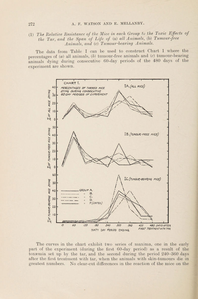 (1) The Relative Resistance of the Mice in each Group to the Toxic Effects of the Tar, and the Span of Life of (a) all Animals, (b) Tumour-free Animals, and (c) Tumour-hearing Animals. The data from Table I can be used to construct Chart 1 where the percentages of (a) all animals, (h) tumour-free animals and (c) tumour-bearing animals dying during consecutive 60-day periods of the 480 days of the experiment are shown. The curves in the chart exhibit two series of maxima, one in the early part of the experiment (during the first 60-day period) as a result of the toxaemia set up by the tar, and the second during the period 240-360 days after the first treatment with tar, when the animals with skin-tumours die in greatest numbers. No clear-cut differences in the reaction of the mice on the