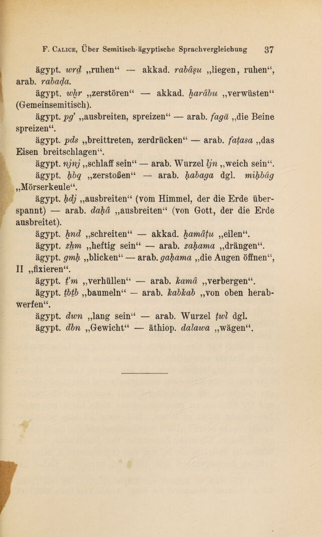 digitised image 3