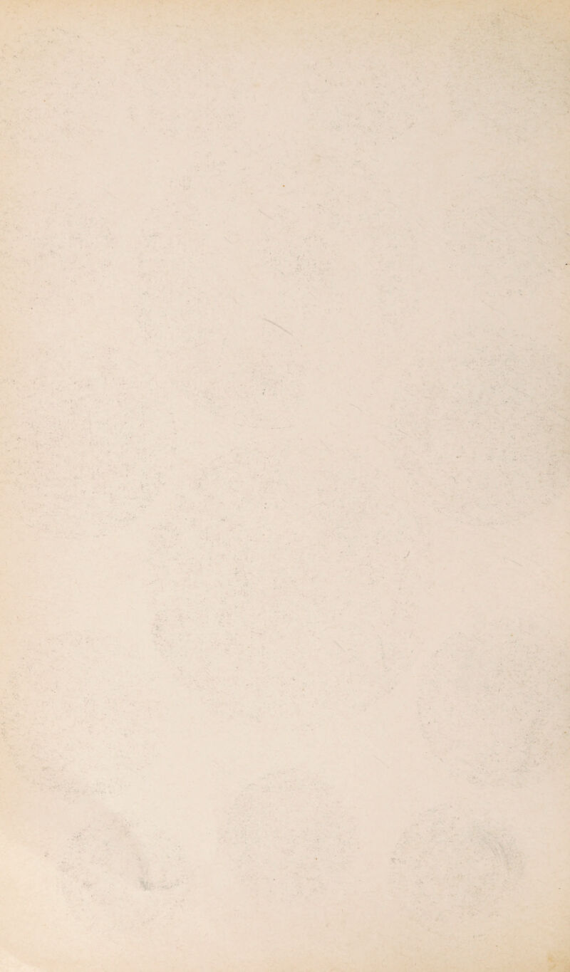 •*» « • . N ‘ ’ . ' • - - ' ■' - -V • ' * ' « - .. , ; * ! ' 1- • . . ^ - * fi; ,• •. - • . ... - ? . ‘ V *. . • . ■ 1 • •J • - V - - ■ . . -■ - ’••••• - . • . -■ <- •• • •* • t ■ • î: ,* * ■“ - J.. ■ ■ ■ ■ - • . • • . •- ■ : - - - . • , . • • $ - • - . - . - ’ t - . fi ^ , > . • s. * - • » -