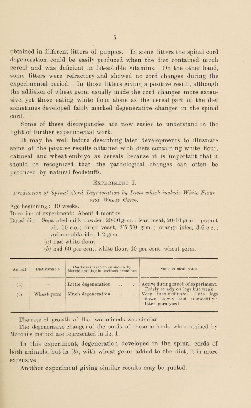 obtained in different litters of puppies. In some litters the spinal cord degeneration could be easily produced when the diet contained much cereal and was deficient in fat-soluble vitamins. On the other hand, some litters were refractory and showed no cord changes during the experimental period. In those litters giving a positive result, although the addition of wheat germ usually made the cord changes more exten¬ sive, yet those eating white flour alone as the cereal part of the diet sometimes developed fairly marked degenerative changes in the spinal cord. Some of these discrepancies are now easier to understand in the light of further experimental work. It may be well before describing later developments to illustrate some of the positive results obtained with diets containing white flour, oatmeal and wheat embryo as cereals because it is important that it should be recognized that the pathological changes can often be produced by natural foodstuffs. Experiment I. Production of Spinal Cord Degeneration by Diets which include White Flour and Wheat Germ. Age beginning : 10 weeks. Duration of experiment: About 4 months. Basal diet: Separated milk powder, 20-30grm.; lean meat, 20-10 grm. ; peanut oil, 10 c.c.; dried yeast, 2’5-5‘0 grm. ; orange juice, 3-6 c.c. ; sodium chloride, 1-2 grm. {a) had white flour. (b) had 60 per cent, white flour, 40 per cent, wheat germ. Animal Diet variable Cord degeneration as shown by Marchi staining in sections examined Some clinical notes (a) Little degeneration Active during much of experiment. Fairly steady on legs but weak W Wheat germ Much degeneration Very inco-ordinate. Puts legs down slowly and unsteadily : later paralysed The rate of growth of the two animals was similar. The degenerative changes of the cords of these animals when stained by Marchi’s method are represented in fig. 1. In this experiment, degeneration developed in the spinal cords of both animals, but in (b), with wheat germ added to the diet, it is more extensive. Another experiment giving similar results may be quoted.