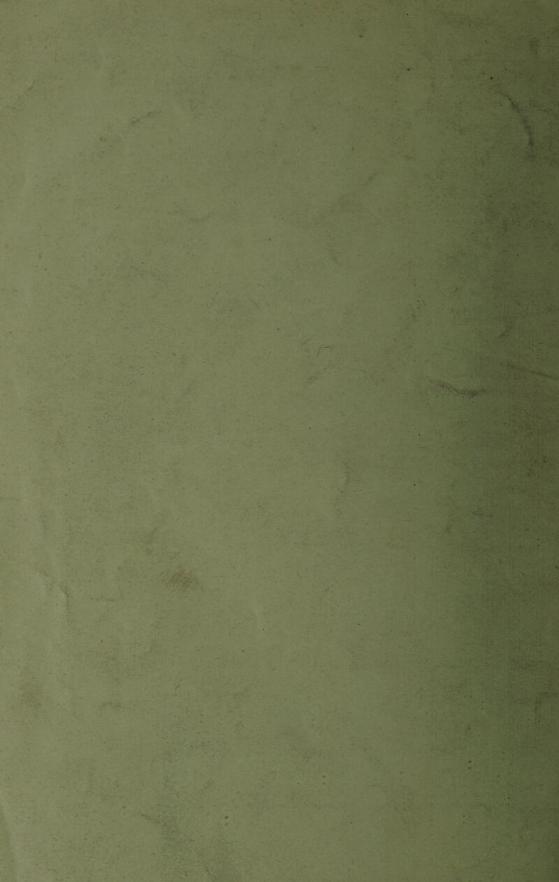 « ■O * * -VV • •, p . . r f- ♦-* . » r-*- £ ■ . |,L> . . . . - ■ * • .v v . tIKhEH *'' * . . ■ s. ?■ • . ■•■•''' ■ .*• ■ o ’ - •  * • • . r  *:■■■<■■ ■ - •