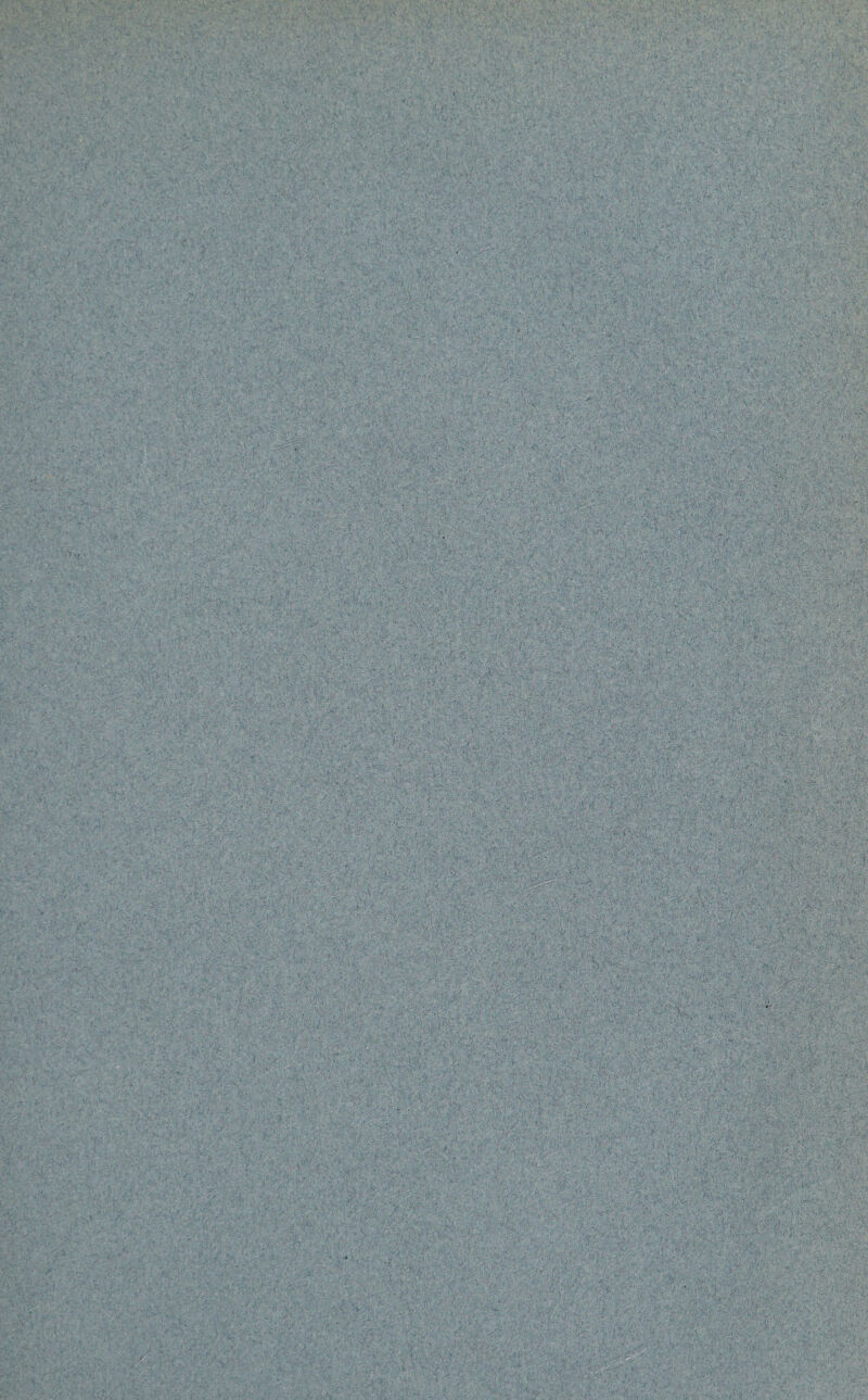 , . . %£ v' i - 7*'^. x' V'C ' .^vr *** i ■ • . H 0 ■. ■ ■ ■ -Mm* Vi ' ■ ~ ' ' ■..■■:•■■> ,•!(**:*.-MM Wj: ., ..■ ■:\-.v■■’•-—,. .■». - •;.•.?>.& > ff;. S' ■ ~> y - - - % ,-gfr ,*• >■:.; ■