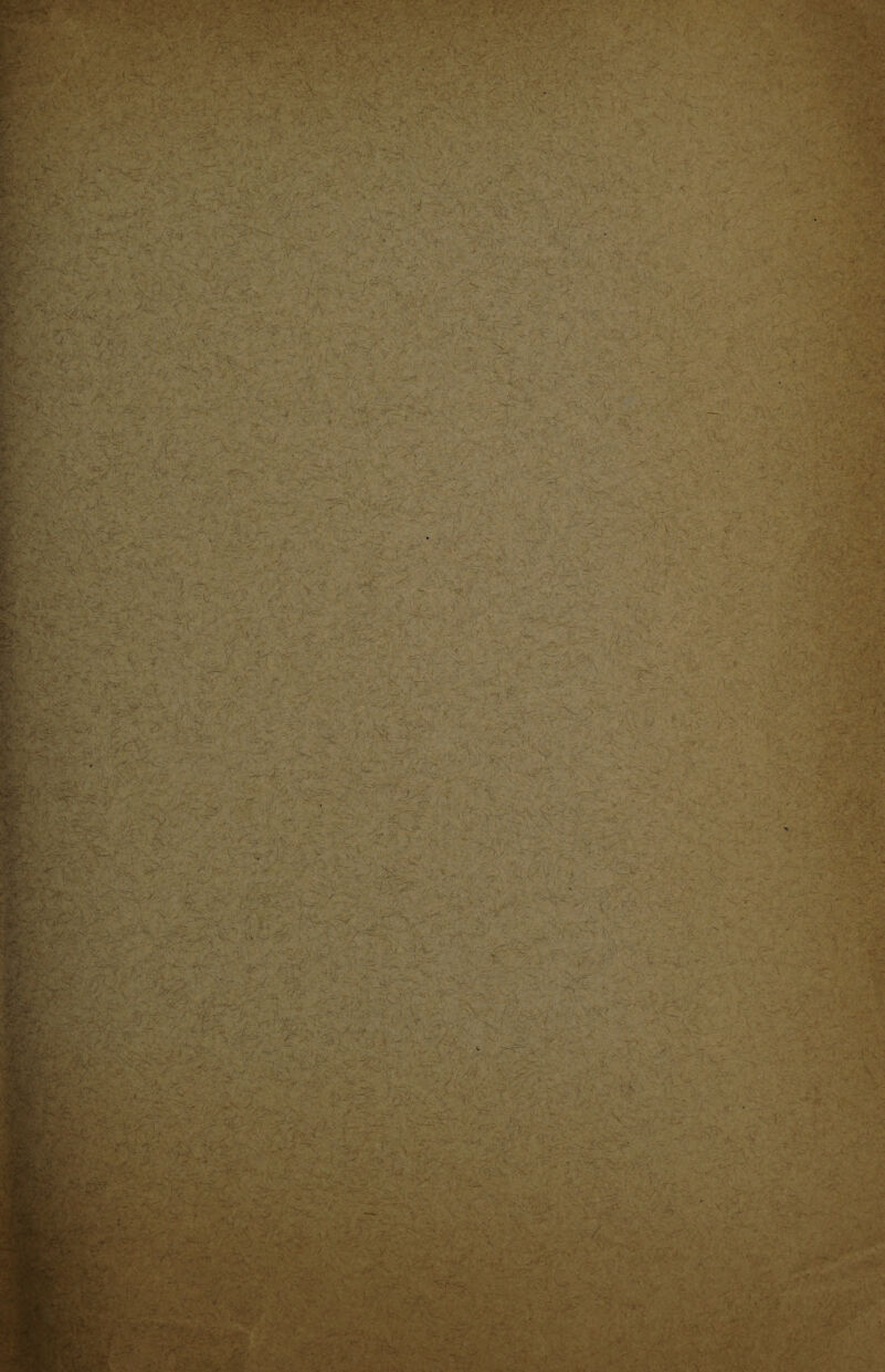 ' -c?' - i ■; v'.p ;r;>fcWv ; ' -rh*v- p' ; K - < .. ' ;v_ , ^ A • .» • 7 ..-P-. .»<- • .y . - x . ,A'r- ,-■•■■., • . . flj.y*1 ■' y-.. vw, '■•-•■■» ' Y- /y*yY ■ ,v : ; y \.y,. Y % ‘ '•'v •• • k -: ^ 0'  ^s '1 '1 • • •■yyY£Yy ^ >%- 4 •k.vwiv^ •- - l-.- w • . ;•'./?:■ - - ~ '. ■' ' ;,/ ■ • ,'/ ' ' . >; .*;' - • -. . . ' , *p' . a: ' - -i Y- - -. •;••■ « '■ y • v... .-■-■/ ■ - ■Qr’*. * . •  . • •» V - U rT* ■ ’■./?' ,• - -i „■ ' v . . . ■ .♦ -\ ■ *V«v .tr • ^ *v- * > * . i ’ ~ ■ y.? C‘- cv5*S • 4^- • ? y-Cv-Y ■ - v •' - • • . •■■ a •' - . ; > Yy V-vv- . ... •;• ...-• ^ : y *.**&&* '% v-.- i*f/v ‘V . rvl” 1 t .. ' ■' .’. •*/ ■■ v ' ’ V :'• ■’> ... ; '• ,>:» ' . ■ ■ ■ ' ... ■ 5 ■ .,-Y«£3vV ' ■' ;' r ■ -r- N r- ■ . '•••'■' • , J- ' > ■' , •• ; ; > u** ^ • -J? .•*■• /f' - t;-.. I-*' '-^C '•• ■ • •— - - ■ •' : - . •<• • , , a'* v r• u v~' fiV '■'.-•■■■ . > - if-'‘^-£ - v_ an ■ . -■ ■'.,■• - „y- • - ....', ‘ ■' r... - -V. •' • - *, - . ' -• v ' V  ; . ,yl .. s p/a . /.*■■ i >wP-. v . • . . , , ;>• . -• • • . ,. ■ SC■ ■ ■’ ■ •'.>'* ■•* ___ < -V l ' ' ,• - -N. J ’ ■ ' ' : . ■ . ' fe; - p; •■; '. -y.’ ' .. . V • _ •. .., .■ . p 0, ■ _ ~ . • ■■■* . p/ I <■; . ... •. ... 'i ■-:■■ ' '■  ' • iX •'‘ '■ fi ' '■ • ;* .. y--.- , — -/v • ■ x / li <■ r- v. 4£ ■*v ■