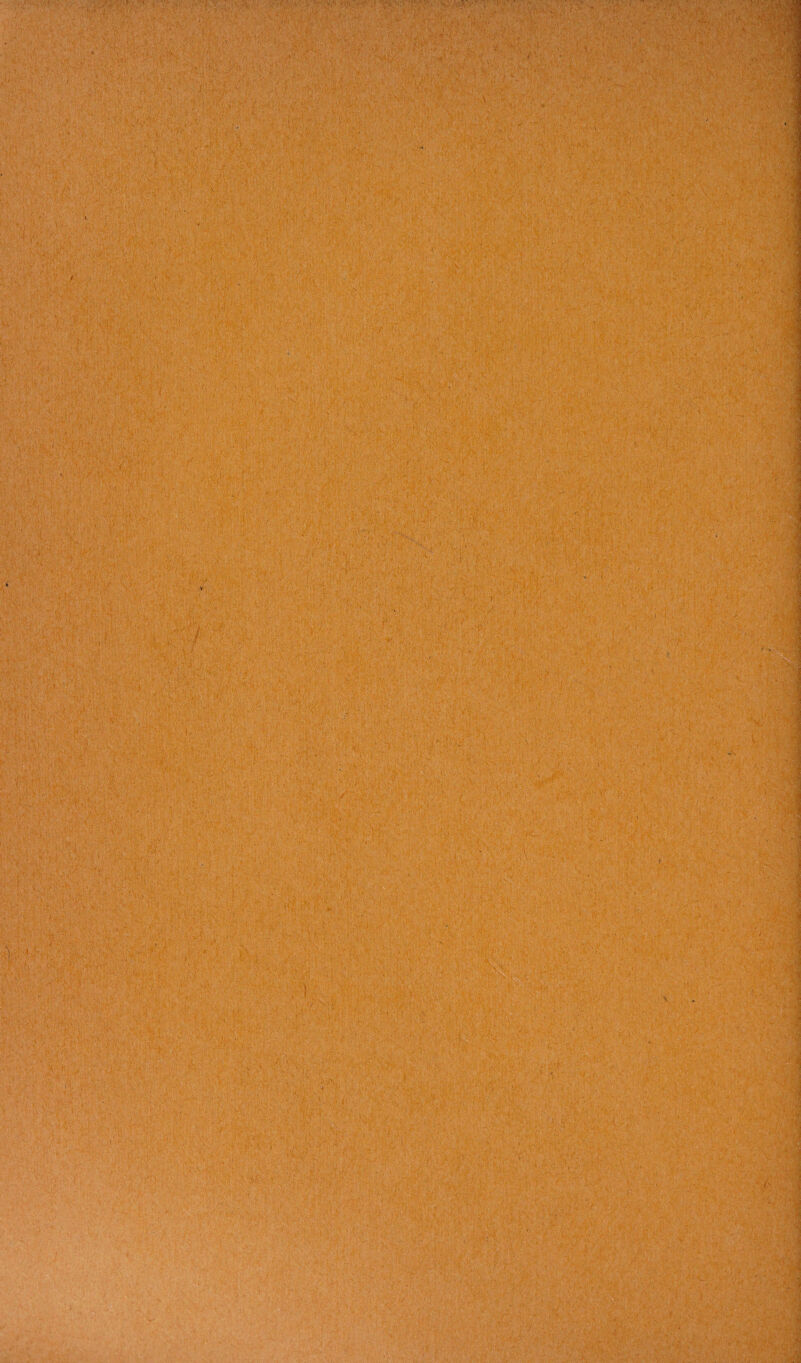 ■i V . 'i •••