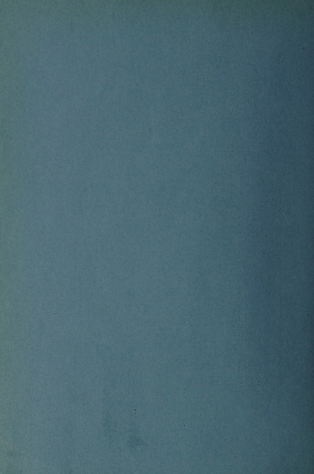 digitised image 2
