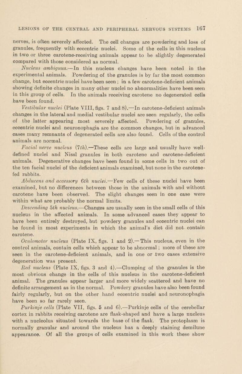 nerves, is often severely affected. The cell changes are powdering and loss of granules, frequently with eccentric nuclei. Some of the cells in this nucleus in two or three carotene-receiving animals appear to be slightly degenerated compared with those considered as normal. Nucleus ambiguus.—In this nucleus changes have been noted in the experimental animals. Powdering of the granules is by far the most common change, but eccentric nuclei have been seen ; in a few carotene-deficient animals showing definite changes in many other nuclei no abnormalities have been seen in this group of cells. In the animals receiving carotene no degenerated cells have been found. Vestibular nuclei (Plate VIII, figs. 7 and 8).—In carotene-deficient animals changes in the lateral and medial vestibular nuclei are seen regularly, the cells of the latter appearing most severely affected. Powdering of granules, eccentric nuclei and neuronophagia are the common changes, but in advanced cases many remnants of degenerated cells are also found. Cells of the control animals are normal. Facial nerve nucleus (7th).—These cells are large and usually have well- defined nuclei and Nissl granules in both carotene and carotene-deficient animals. Degenerative changes have been found in some cells in two out of the ten facial nuclei of the deficient animals examined, but none in the carotene- fed rabbits. Abducens and accessory 6th nuclei.—Few cells of these nuclei have been examined, but no differences between those in the animals with and without carotene have been observed. The slight changes seen in one case were within what are probably the normal limits. Descending 5th nucleus.—Changes are usually seen in the small cells of this nucleus in the affected animals. In some advanced cases they appear to have been entirely destroyed, but powdery granules and eccentric nuclei can be found in most experiments in which the animal’s diet did not. contain carotene. Oculomotor nucleus (Plate IX, figs. 1 and 2).— This nucleus, even in the control animals, contain cells which appear to be abnormal; more of these are seen in the carotene-deficient animals, and in one or .twro cases extensive degeneration was present. Pied nucleus (Plate IX, figs. 3 and 4).—Clumping of the granules is the most obvious change in the cells of this nucleus in the carotene-deficient animal. The granules appear larger and more widely scattered and have no definite arrangement as in the normal. Powdery granules have also been found fairly regularly, but on the other hand eccentric nuclei and neuronophagia have been so far rarely seen. Purkinje cells (Plate VII, figs. 5 and 6).—Purkinje cells of the cerebellar cortex in rabbits receiving carotene are flask-shaped and have a large nucleus with a nucleolus situated towards the base of the flask. The protoplasm is normally granular and around the nucleus has a deeply staining demilune appearance. Of all the groups of cells examined in this work these show