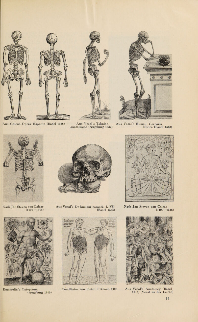 Aus Galens Opera Hapanta (Basel 153S) Aus Vesal’s Tabulae anatomicae (Augsburg 1539) Aus Vesal’s Humani Corporis fabrica (Basel 1543) Nach Jan Steven van Calcar (1499 — 1546) Aus Vesal’s De humani corporis 1. VII (Basel 1555) Nach Jan Steven van Calcar (1499—1546) Remmelin’s Catoptrum (Augsburg 1619) Conciliator von Pietro d’Abano 1496 Aus Vesal’s Anatomey (Basel 1513) (Vesal an der Leiche)