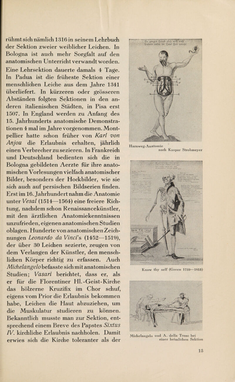 rühmt sich nämlich 1316 in seinem Lehrbuch der Sektion zweier weiblicher Leichen. In Bologna ist auch mehr Sorgfalt auf den anatomischen Unterricht verwandt worden. Eine Lehrsektion dauerte damals 4 Tage. In Padua ist die früheste Sektion einer menschlichen Leiche aus dem Jahre 1341 überliefert. In kürzeren oder grösseren Abständen folgten Sektionen in den an¬ deren italienischen Städten, in Pisa erst 1507. In England werden zu Anfang des 15. Jahrhunderts anatomische Demonstra¬ tionen 4 mal im Jahre vorgenommen. Mont¬ pellier hatte schon früher von Karl von Anjou die Erlaubnis erhalten, jährlich einen Verbrecher zu sezieren. In Frankreich und Deutschland bedienten sich die in Bologna gebildeten Aerzte für ihre anato¬ mischen Vorlesungen vielfach anatomischer Bilder, besonders der Hockbilder, wie sie sich auch auf persischen Bildserien finden. Erst im 16. Jahrhundert nahm die Anatomie unter Vesal (1514—1564) eine freiere Rich¬ tung, nachdem schon Renaissancekünstler, mit den ärztlichen Anatomiekenntnissen unzufrieden, eigenen anatomischen Studien oblagen. Hunderte von anatomischen Zeich¬ nungen Leonardo da Vinci's (1452—1519), der über 30 Leichen sezierte, zeugen von dem Verlangen der Künstler, den mensch¬ lichen Körper richtig zu erfassen. Auch Michelangelo befasste sich mit anatomischen Studien; Vasari berichtet, dass er, als er für die Florentiner Hl.-Geist-Kirche das hölzerne Kruzifix im Chor schuf, eigens vom Prior die Erlaubnis bekommen habe, Leichen die Flaut abzuziehen, um die Muskulatur studieren zu können. Bekanntlich musste man zur Sektion, ent¬ sprechend einem Breve des Papstes Sixtus IV. kirchliche Erlaubnis nachholen. Damit erwies sich die Kirche toleranter als der Harn weg-Anatomie nach Kaspar Strohmeyer v.,- V--..V . v *■ ■ ■- .• rr-rr ' ■ P« <*mgcn fruwf* mirfj w«fo rpc$m> snütr ivtwt gwt Know thy seif (Green 1739—1813) Michelangelo und A. della Torre hei einer heimlichen Sektion