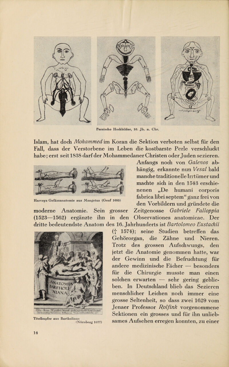. . Persische Hockbilder, 10. Jh. n. Chr. Islam, hat doch Mohammed im Koran die Sektion verboten selbst für den Fall, dass der Verstorbene im Leben die kostbarste Perle verschluckt habe; erst seit 1838 darf der Mohammedaner Christen oder Juden sezieren. Anfangs noch von Galenos ab¬ hängig, erkannte nun Vesal bald manche traditionelle Irrtümer und machte sich in den 1543 erschie¬ nenen „De humani corporis fabrica libri septem“ ganz frei von Harveys Gefässanatomie aus Mangetus (Genf 1685) iitiii den Vorbildern und gründete die moderne Anatomie. Sein grosser Zeitgenosse Gabriele Falloppia (1523—1562) ergänzte ihn in den Observationes anatomicae. Der dritte bedeutendste Anatom des 16. Jahrhunderts ist Bartolomeo Eustachii (f 1574); seine Studien betreffen das Gehörorgan, die Zähne und Nieren. Trotz des grossen Aufschwungs, den jetzt die Anatomie genommen hatte, war der Gewinn und die Befruchtung für andere medizinische Fächer — besonders für die Chirurgie musste man einen solchen erwarten — sehr gering geblie¬ ben. In Deutschland blieb das Sezieren menschlicher Leichen noch immer eine grosse Seltenheit, so dass zwei 1629 vom Jenaer Professor Rolfink vorgenommene Sektionen ein grosses und für ihn unlieb- Titelkupfer aus Bartbolinus \ c ] . 1 (Nürnberg 1677) sames Auisehen erregen konnten, zu einer