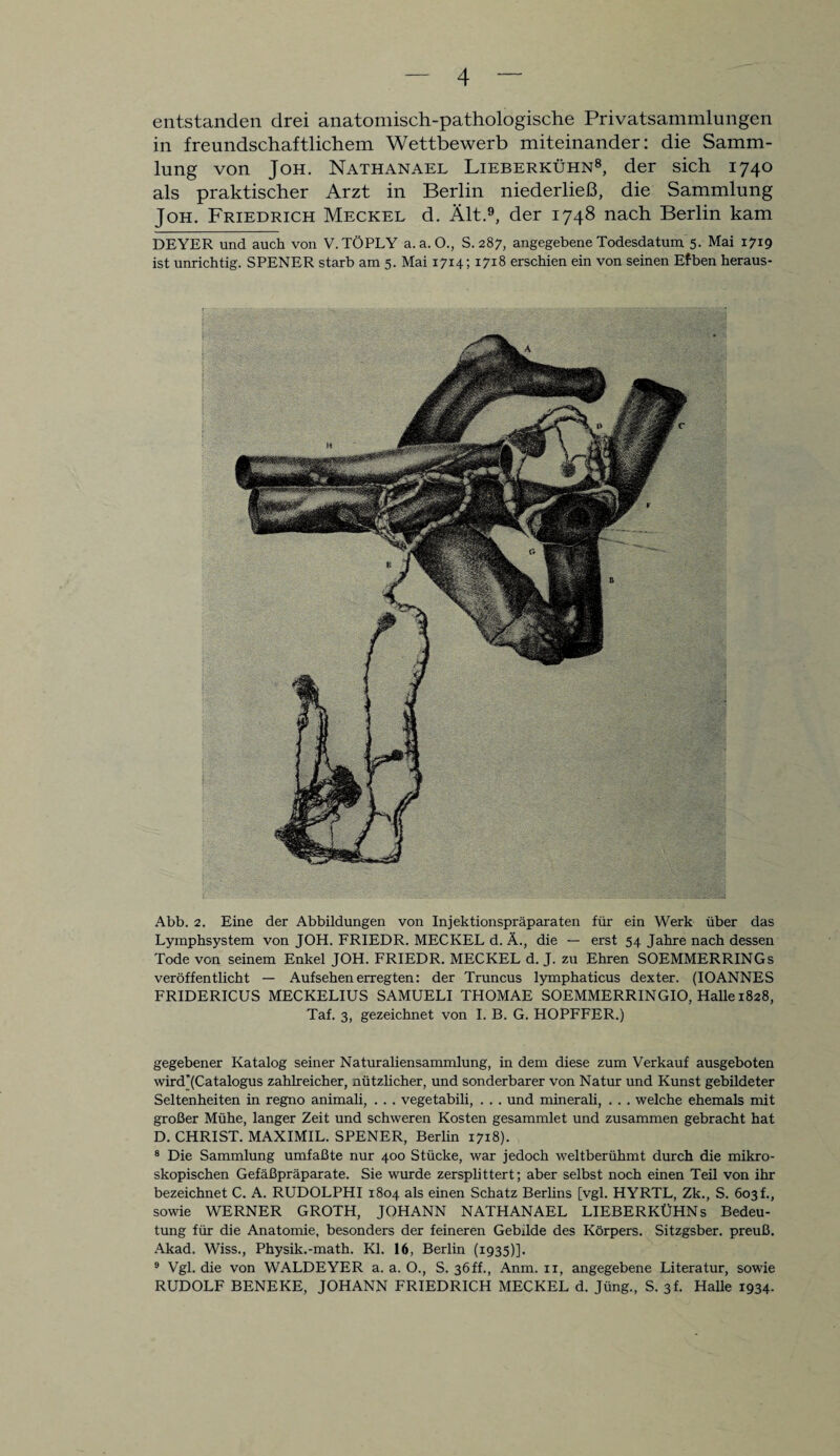 entstanden drei anatomisch-pathologische Privatsainmlungen in freundschaftlichem Wettbewerb miteinander: die Samm¬ lung von Joh. Nathanael Lieberkühn8, der sich 1740 als praktischer Arzt in Berlin niederließ, die Sammlung Joh. Friedrich Meckel d. Ält.9, der 1748 nach Berlin kam DEYER und auch von V.TÖPLY a. a. O., S. 287, angegebene Todesdatum 5. Mai 1719 ist unrichtig. SPENER starb am 5. Mai 1714; 1718 erschien ein von seinen Efben heraus- Abb. 2. Eine der Abbildungen von Injektionspräparaten für ein Werk über das Lymphsystem von JOH. FRIEDR. MECKEL d. Ä., die — erst 54 Jahre nach dessen Tode von seinem Enkel JOH. FRIEDR. MECKEL d. J. zu Ehren SOEMMERRINGs veröffentlicht — Aufsehen erregten: der Truncus lymphaticus dexter. (IOANNES FRIDERICUS MECKELIUS SAMUELI THOMAE SOEMMERRINGIO, Halle 1828, Taf. 3, gezeichnet von I. B. G. HOPFFER.) gegebener Katalog seiner Naturaliensammlung, in dem diese zum Verkauf ausgeboten wird(Catalogus zahlreicher, nützlicher, und sonderbarer von Natur und Kunst gebildeter Seltenheiten in regno animali, . . . vegetabili, . . . und minerali, . . . welche ehemals mit großer Mühe, langer Zeit und schweren Kosten gesammlet und zusammen gebracht hat D. CHRIST. MAXIMIL. SPENER, Berlin 1718). 8 Die Sammlung umfaßte nur 400 Stücke, war jedoch weltberühmt durch die mikro¬ skopischen Gefäßpräparate. Sie wurde zersplittert; aber selbst noch einen Teil von ihr bezeichnet C. A. RUDOLPHI 1804 als einen Schatz Berlins [vgl. HYRTL, Zk., S. 603!, sowie WERNER GROTH, JOHANN NATHANAEL LIEBERKÜHN s Bedeu¬ tung für die Anatomie, besonders der feineren Gebilde des Körpers. Sitzgsber. preuß. Akad. Wiss., Physik.-math. Kl. 16, Berlin (1935)]. 9 Vgl. die von WALDEYER a. a. O., S. 36ff., Anm. 11, angegebene Literatur, sowie RUDOLF BENEKE, JOHANN FRIEDRICH MECKEL d. Jüng., S. 3t Halle 1934.