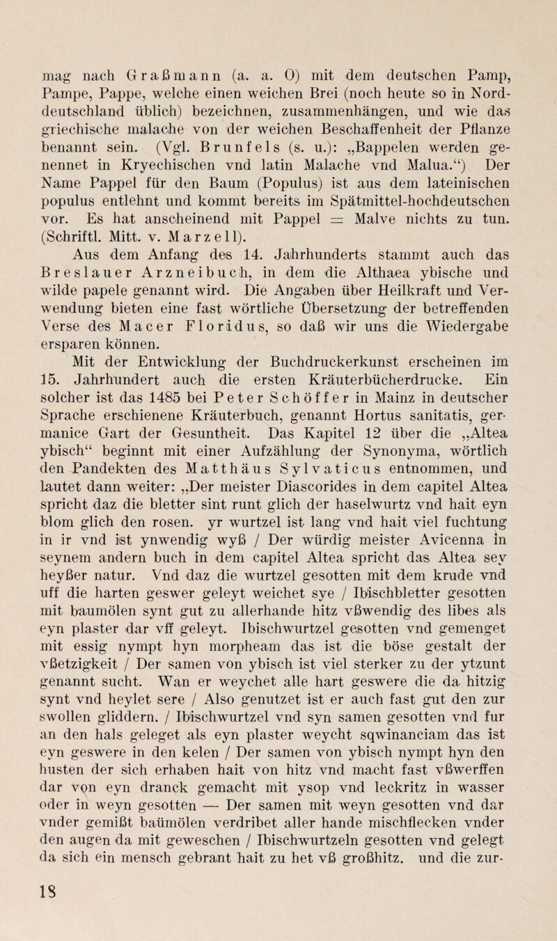 mag nach Graß mann (a. a. 0) mit dem deutschen Pamp, Pampe, Pappe, welche einen weichen Brei (noch heute so in Nord¬ deutschland üblich) bezeichnen, Zusammenhängen, und wie das griechische malache von der weichen Beschaffenheit der Pflanze benannt sein. (Vgl. Brunfels (s. u.): „Bappelen werden ge- nennet in Kryechischen vnd latin Malache vnd Malua.“) Der Name Pappel für den Baum (Populus) ist aus dem lateinischen populus entlehnt und kommt bereits im Spätmittel-hochdeutschen vor. Es hat anscheinend mit Pappel = Malve nichts zu tun. (Schriftl. Mitt. v. Marz eil). Aus dem Anfang des 14. Jahrhunderts stammt auch das Breslauer Arzneibuch, in dem die Althaea ybische und wilde papele genannt wird. Die Angaben über Heilkraft und Ver¬ wendung bieten eine fast wörtliche Übersetzung der betreffenden Verse des Mac er Floridus, so daß wir uns die Wiedergabe ersparen können. Mit der Entwicklung der Buchdruckerkunst erscheinen im 15. Jahrhundert auch die ersten Kräuterbücherdrucke. Ein solcher ist das 1485 bei Peter Schöffer in Mainz in deutscher Sprache erschienene Kräuterbuch, genannt Hortus sanitatis, ger- manice Gart der Gesuntheit. Das Kapitel 12 über die „Altea ybisch“ beginnt mit einer Aufzählung der Synonyma, wörtlich den Pandekten des Matthäus Sylvaticus entnommen, und lautet dann weiter: „Der meister Diascorides in dem capitel Altea spricht daz die bletter sint runt glich der haselwurtz vnd hait eyn blom glich den rosen, yr wurtzel ist lang vnd halt viel fuchtung in ir vnd iist ynwendig wyß / Der würdig meister Avicenna in seynem andern buch in dem capitel Altea spricht das Altea sev heyßer natur. Vnd daz die wurtzel gesotten mit dem krude vnd uff die harten geswer geleyt weichet sye / Ibischbletter gesotten mit baumölen synt gut zu allerhande hitz vßwendig des libes als eyn plaster dar vff geleyt. Ibischwurtzel gesotten vnd gemenget mit essig nympt hyn morpheam das ist die böse gestalt der vßetzigkeit / Der sarnen von ybisch ist viel sterker zu der ytzunt genannt sucht. Wan er weychet alle hart geswere die da hitzig synt vnd heylet sere / Also genutzet ist er auch fast gut den zur swollen gliddern. / Ibischwurtzel vnd syn samen gesotten vnd für an den hals geleget als eyn plaster weycht sqwinanciam das ist eyn geswere in den kelen / Der samen von ybisch nympt hyn den husten der sich erhaben hait von hitz vnd macht fast vßwerffen dar von eyn dranck gemacht mit ysop vnd leckritz in wasser oder in weyn gesotten — Der samen mit weyn gesotten vnd dar vnder gemißt baümölen verdribet aller hande mischflecken vnder den äugen da mit geweschen / Ibischwurtzeln gesotten vnd gelegt da sich ein mensch gebrant hait zu het vß großhitz. und die zur- 1S