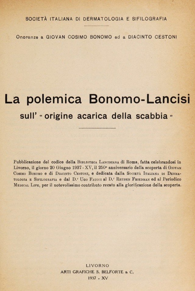 digitised image 3