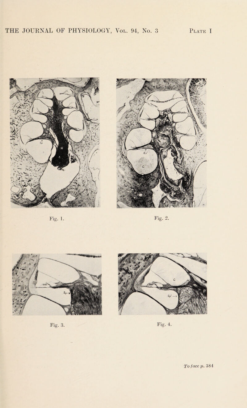 Fig. 3. Fig. 4.