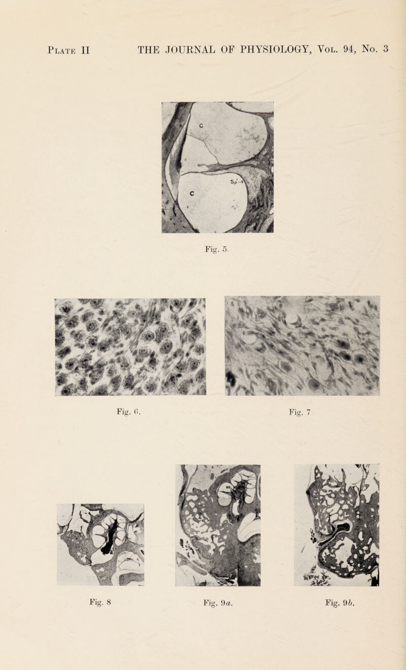 Fig. 0. Fig. 7. Fig. 8 Fig. 9&.