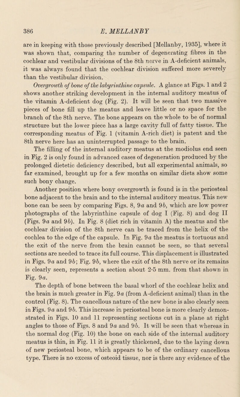 are in keeping with those previously described [Mellanbv, 1935], where it was shown that, comparing the number of degenerating fibres in the cochlear and vestibular divisions of the 8th nerve in A-deficient animals, it was always found that the cochlear division suffered more severely than the vestibular division. Overgrowth of bone of the labyrinthine capsule. A glance at Figs. 1 and 2 shows another striking development in the internal auditory meatus of the vitamin A-deficient dog (Fig. 2). It will be seen that two massive pieces of bone fill up the meatus and leave little or no space for the branch of the 8th nerve. The bone appears on the whole to be of normal structure but the lower piece has a large cavity full of fatty tissue. The corresponding meatus of Fig. 1 (vitamin A-rich diet) is patent and the 8th nerve here has an uninterrupted passage to the brain. The filling of the internal auditory meatus at the modiolus end seen in Fig. 2 is only found in advanced cases of degeneration produced by the prolonged dietetic deficiency described, but all experimental animals, so far examined, brought up for a few months on similar diets show some such bony change. Another position where bony overgrowth is found is in the periosteal bone adjacent to the brain and to the internal auditory meatus. This new bone can be seen by comparing Figs. 8, 9 a and 9 b, which are low power photographs of the labyrinthine capsule of dog I (Fig. 8) and dog II (Figs. 9a and 96). In Fig. 8 (diet rich in vitamin A) the meatus and the cochlear division of the 8th nerve can be traced from the helix of the cochlea to the edge of the capsule. In Fig. 9 a the meatus is tortuous and the exit of the nerve from the brain cannot be seen, so that several sections are needed to trace its full course. This displacement is illustrated in Figs. 9a and 96; Fig. 96, where the exit of the 8th nerve or its remains is clearly seen, represents a section about 2-5 mm. from that shown in Fig. 9 a. The depth of bone between the basal whorl of the cochlear helix and the brain is much greater in Fig. 9 a (from A-deficient animal) than in the control (Fig. 8). The cancellous nature of the new bone is also clearly seen in Figs. 9 a and 96. This increase in periosteal bone is more clearly demon¬ strated in Figs. 10 and 11 representing sections cut in a plane at right angles to those of Figs. 8 and 9 a and 96. It will be seen that whereas in the normal dog (Fig. 10) the bone on each side of the internal auditory meatus is thin, in Fig. 11 it is greatly thickened, due to the laying down of new periosteal bone, which appears to be of the ordinary cancellous type. There is no excess of osteoid tissue, nor is there any evidence of the