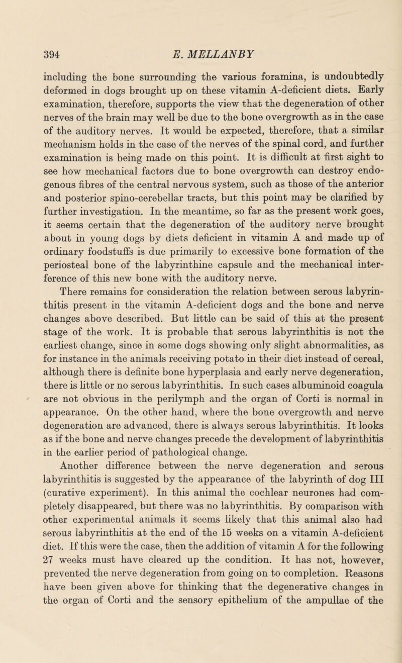 including the bone surrounding the various foramina, is undoubtedly deformed in dogs brought up on these vitamin A-deficient diets. Early examination, therefore, supports the view that the degeneration of other nerves of the brain may well be due to the bone overgrowth as in the case of the auditory nerves. It would be expected, therefore, that a similar mechanism holds in the case of the nerves of the spinal cord, and further examination is being made on this point. It is difficult at first sight to see how mechanical factors due to bone overgrowth can destroy endo¬ genous fibres of the central nervous system, such as those of the anterior and posterior spino-cerebellar tracts, but this point may be clarified by further investigation. In the meantime, so far as the present work goes, it seems certain that the degeneration of the auditory nerve brought about in young dogs by diets deficient in vitamin A and made up of ordinary foodstuffs is due primarily to excessive bone formation of the periosteal bone of the labyrinthine capsule and the mechanical inter¬ ference of this new bone with the auditory nerve. There remains for consideration the relation between serous labyrin¬ thitis present in the vitamin A-deficient dogs and the bone and nerve changes above described. But little can be said of this at the present stage of the work. It is probable that serous labyrinthitis is not the earliest change, since in some dogs showing only slight abnormalities, as for instance in the animals receiving potato in their diet instead of cereal, although there is definite bone hyperplasia and early nerve degeneration, there is little or no serous labyrinthitis. In such cases albuminoid coagula are not obvious in the perilymph and the organ of Corti is normal in appearance. On the other hand, where the bone overgrowth and nerve degeneration are advanced, there is always serous labyrinthitis. It looks as if the bone and nerve changes precede the development of labyrinthitis in the earlier period of pathological change. Another difference between the nerve degeneration and serous labyrinthitis is suggested by the appearance of the labyrinth of dog III (curative experiment). In this animal the cochlear neurones had com¬ pletely disappeared, but there was no labyrinthitis. By comparison with other experimental animals it seems likely that this animal also had serous labyrinthitis at the end of the 15 weeks on a vitamin A-deficient diet. If this were the case, then the addition of vitamin A for the following 27 weeks must have cleared up the condition. It has not, however, prevented the nerve degeneration from going on to completion. Reasons have been given above for thinking that the degenerative changes in the organ of Corti and the sensory epithelium of the ampullae of the