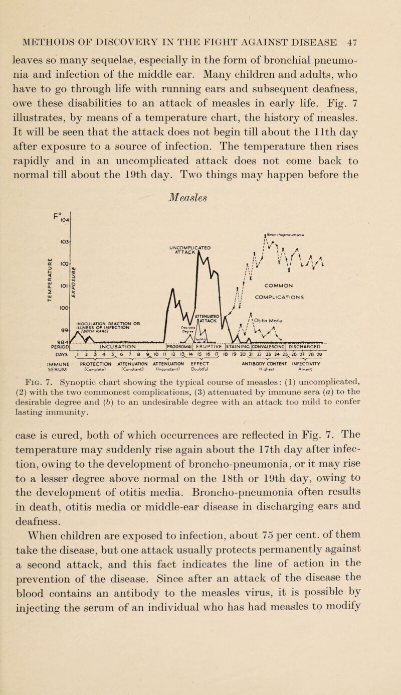 leaves so many sequelae, especially in the form of bronchial pneumo¬ nia and infection of the middle ear. Many children and adults, who have to go through life with running ears and subsequent deafness, owe these disabilities to an attack of measles in early life. Fig. 7 illustrates, by means of a temperature chart, the history of measles. It will be seen that the attack does not begin till about the 11th day after exposure to a source of infection. The temperature then rises rapidly and in an uncomplicated attack does not come back to normal till about the 19th day. Two things may happen before the Measles Fig. 7. Synoptic chart showing the typical course of measles: (1) uncomplicated, (2) with the two commonest complications, (3) attenuated by immune sera (a) to the desirable degree and (b) to an undesirable degree with an attack too mild to confer lasting immunity. case is cured, both of which occurrences are reflected in Fig. 7. The temperature may suddenly rise again about the 17th day after infec¬ tion, owing to the development of broncho-pneumonia, or it may rise to a lesser degree above normal on the 18th or 19th day, owing to the development of otitis media. Broncho-pneumonia often results in death, otitis media or middle-ear disease in discharging ears and deafness. When children are exposed to infection, about 75 per cent, of them take the disease, but one attack usually protects permanently against a second attack, and this fact indicates the line of action in the prevention of the disease. Since after an attack of the disease the blood contains an antibody to the measles virus, it is possible by injecting the serum of an individual who has had measles to modify