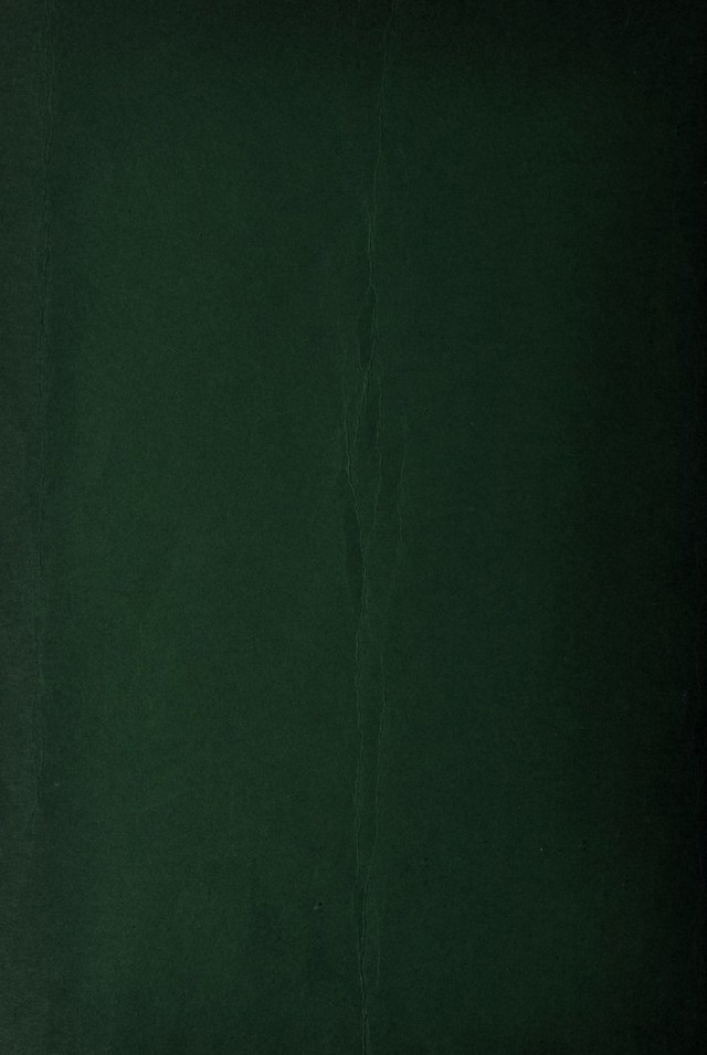 digitised image 2