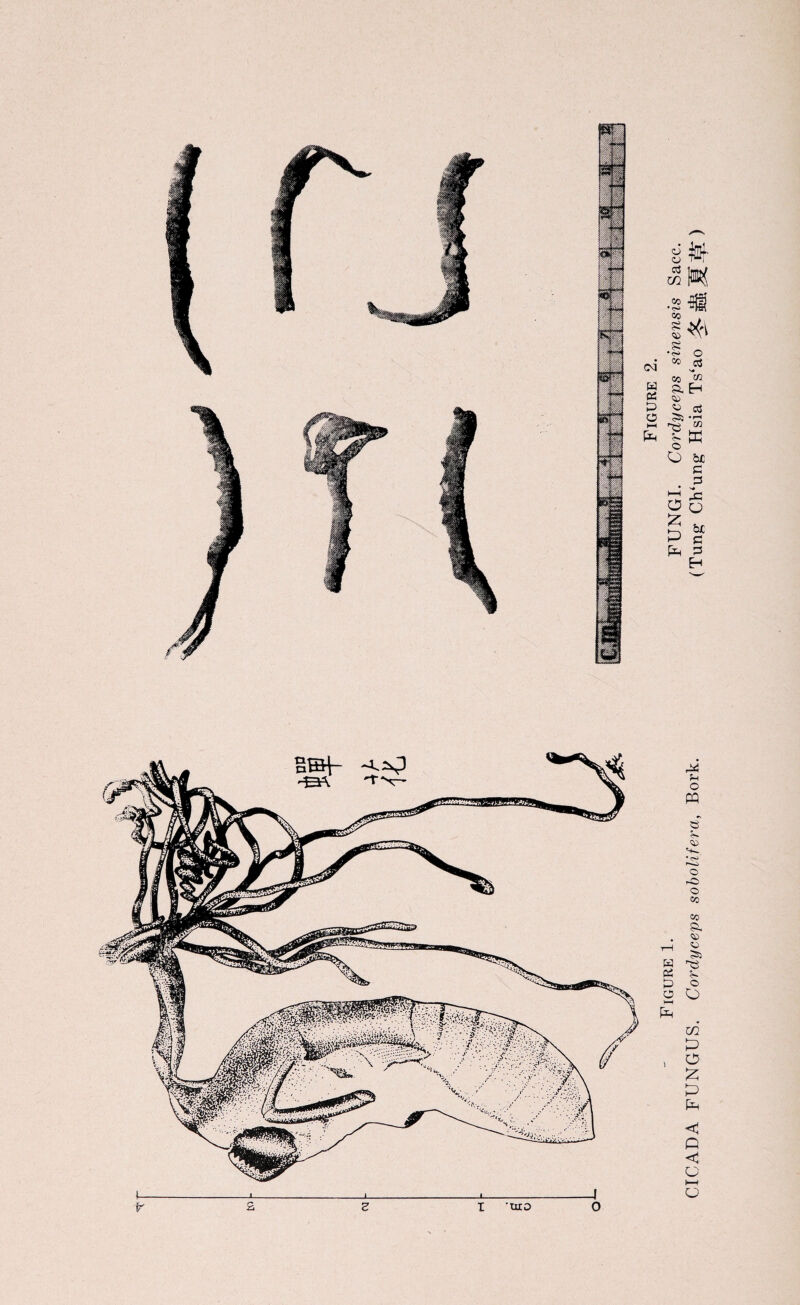 CM w es o co •<?* 1:0 » • 5 o CO 03 SO a! A EH CO «■> a3 © K O bJC c p • V# 3 6 § u p c fe 3 H Sm o CQ tT 5« co • ^ O -o o CO CO 55, CO CO o O w P O £ P < Q <J o *—( o I 'uro 0