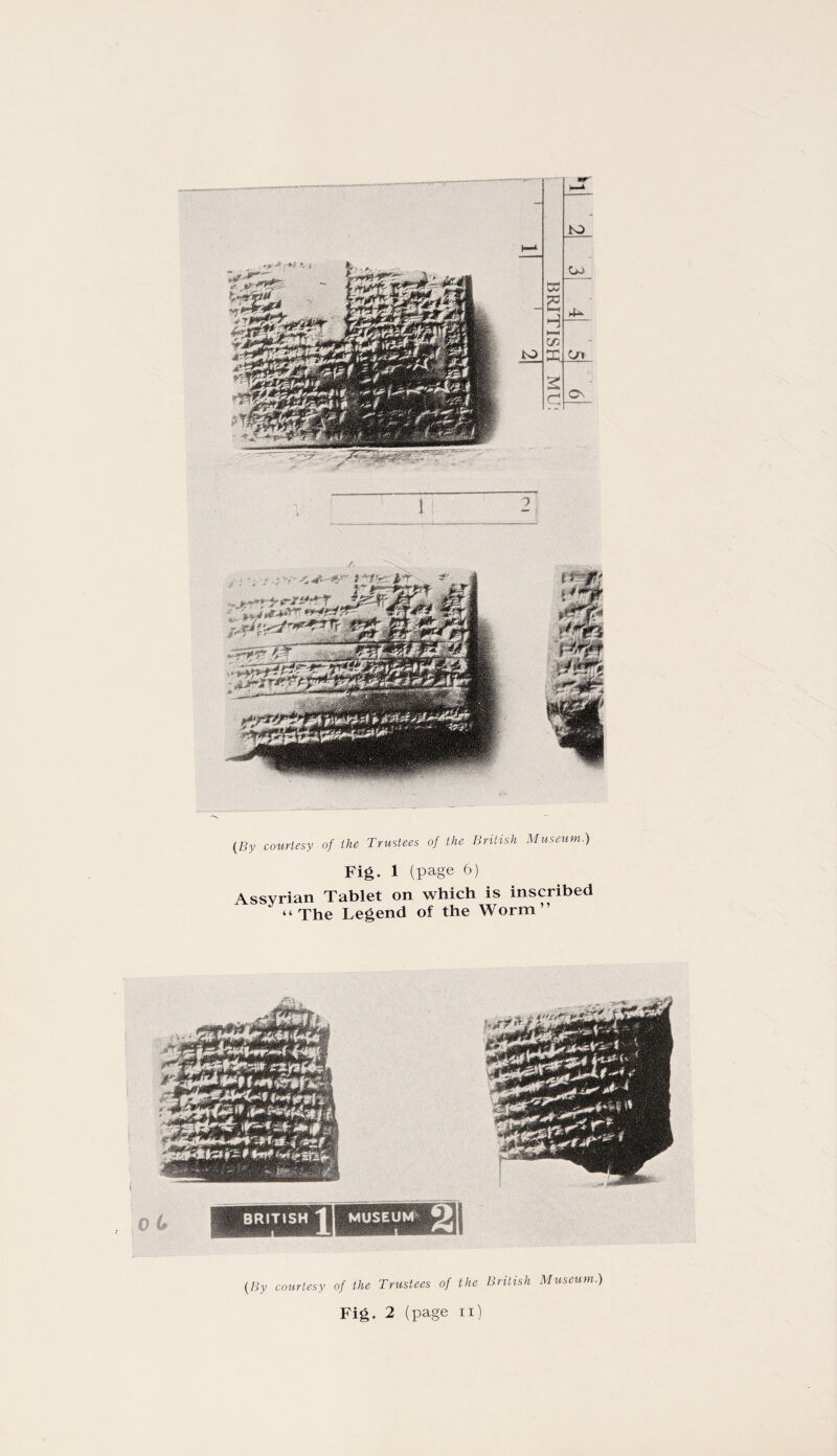 (By courtesy of the Trustees of the British Museum.) Fig. 1 (page 6) Assyrian Tablet on which is inscribed “The Legend of the Worm” (By courtesy of the Trustees of the British Museum.)