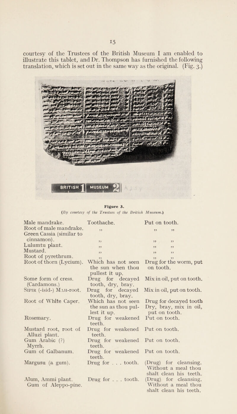 courtesy of the Trustees of the British Museum I am enabled to illustrate this tablet, and Dr. Thompson has furnished the following translation, which is set out in the same way as the original. (Fig. 3.) Figure 3. {By courtesy of the Trustees of the British Museum.) Male mandrake. Root of male mandrake. Green Cassia (similar to cinnamon). Lulumtu plant. Mustard. Root of pyrethrum. Root of thorn (Lycium). Some form of cress. (Cardamons.) SiPiR (-isid-) MAH-root. Root of White Caper. Rosemary. Mustard root, root of Alluzi plant. Gum Arabic (?) Myrrh. Gum of Galbanum. Margusu (a gum). Alum, Ammi plant. Gum of Aleppo-pine. Toothache. 3 3 33 35 3 5 5 3 Which has not seen the sun when thou pullest it up. Drug for decayed tooth, dry, bray. Drug for decayed tooth, dry, bray. Which has not seen the sun as thou pul¬ lest it up. Drug for weakened teeth. Drug for weakened teeth. Drug for weakened teeth. Drug for weakened teeth. Drug for . . . tooth. Drug for . . . tooth. Put on tooth. 3 3 3 3 35 33 33 3 3 3 3 3 3 3 5 5 3 Drug for the worm, put on tooth. Mix in oil, put on tooth. Mix in oil, put on tooth. Drug for decayed tooth Dry, bray, mix in oil, put on tooth. Put on tooth. Put on tooth. Put on tooth. Put on tooth. (Drug) for cleansing. Without a meal thou shalt clean his teeth. (Drug) for cleansing. Without a meal thou shalt clean his teeth.