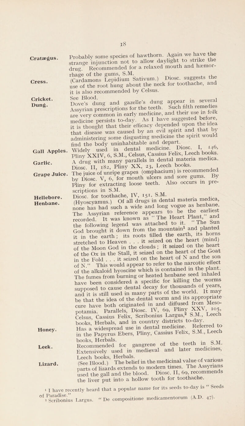 Crataegus. Cress. Cricket. Dung. Gall Apples Garlic. Grape Juice Hellebore. Henbane. Probably some species of hawthorn. Again we have the- strange injunction not to allow daylight to strike the drug. Recommended for a relaxed mouth and haemor¬ rhage of the gums, S.M. (Cardamons Lepidium Sativum.) Diosc. suggests the use of the root hung about the neck for toothache, and it is also recommended by Celsus. See Blood. . Dove’s dung and gazelle’s dung appear m seveia Assyrian prescriptions for the teeth. Such filth remedies are very common in early medicine, and their use miolk medicine persists to-day. As I have suggeste _ e ore it is thought that their efficacy depended upon the idea that disease was caused by an evil spirit and that y administering some disgusting m.edicine the spirit won find the body uninhabitable and deparh Widely used in dental medicine. Diosc. I, 14 . Plinv XXIV, 6, S.M., Celsus, Cassius Felix, Leech books. A drug with many parallels in dental materia medica. Diosc. II, 182, Pliny XX, 23, Leech books. The juice of unripe grapes (omphacium) is recommende bv Diosc. V, 6, for mouth ulcers and sore gums. y Pliny for extracting loose teeth. Also occurs m pre¬ scriptions in S.M. Diosc. for toothache, IV, 151, S.M. (Hyoscyamus.) Of all drugs in dental materia medica, none has had such a wide and long vogue as henbane The Assyrian reference appears to be ;^e recorded. It was known as “The Heart PJaut, a the following legend was attached to it I he bu God brought it down from the mountain and planted it in the earth ; its roots filled the earth, its horns stretched to Heaven ... it seized on the heart (mmd) of the Moon God in the clouds ; it seized on the heart of the Ox in the Stall, it seized on the heart of the Goat in the Fold ... it seized on the heart of N and son of N.” This would appear to refer to the narcotic effect of the alkaloid hyoscine which is contained m the The fumes from burning or heated henbane seed inhaled have been considered a specific for killing the worms supposed to cause dental decay for thousands of and it is still used in many parts of the world. It may be that the idea of the dental worm and its appropriate cure have both originated m and diFused Meso¬ potamia. Parallels, Diosc. IV, 69, Plmy XXV 105, Celsus, Cassius Felix, Scribonius Largus,2 s^M., Leech books, Herbals, and in country districts to-day. Has a widespread use in dental medimne. /rrod to in the Papyrus Ebers, Pliny, Cassius Felix, S.M., Leech books, Herbals. r ,, 1 ^-u ■ q ixr Recommended for gangrene of the teeth m b.Al. Extensively used in medieval and later medicines. Leech books, Herbals. . , , x • o (See Blood.) The belief in the medicinal value ol varmus parts of lizards extends to modern times. The Assyrians used the gall and the blood. Diosc. H, 69, recommends the liver put into a hollow tooth for toothache. 1 I have recently heard that a popular name for its seeds to day is ^^2^Sbonius Largus. “ De compositione medicamentorum (A.D. 47). Honey. Leek. Lizard.