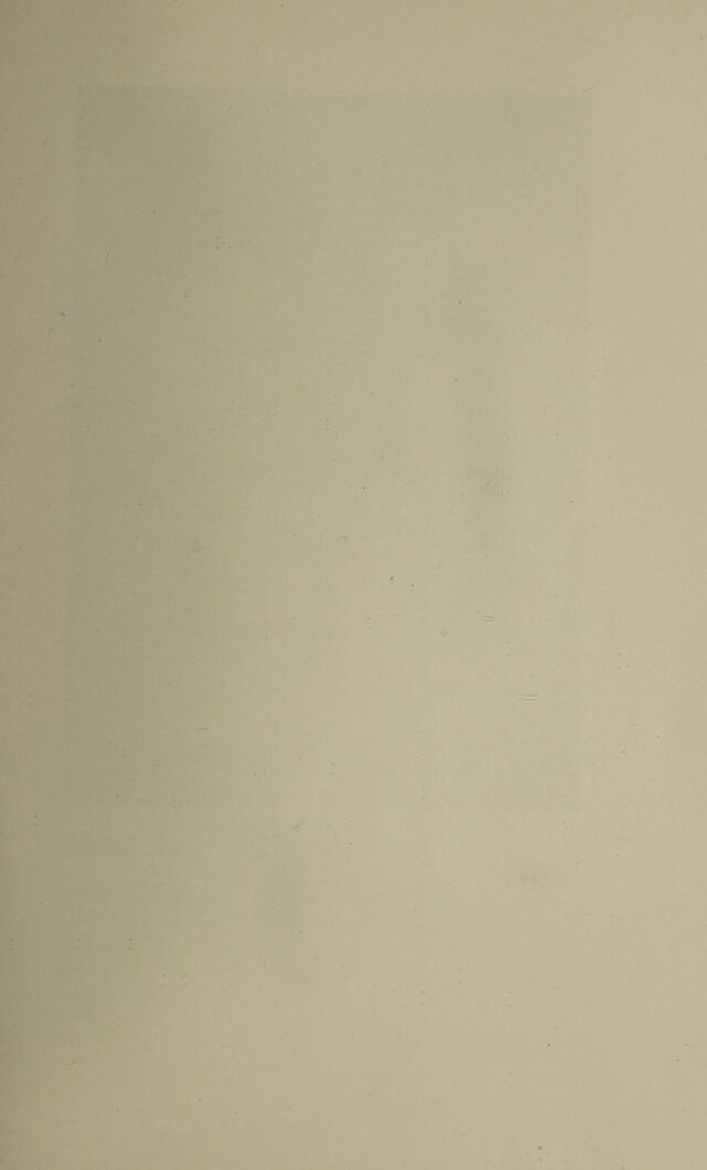 digitised image 3
