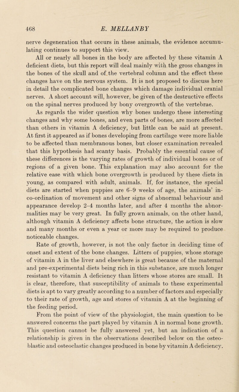 nerve degeneration that occurs in these animals, the evidence accumu¬ lating continues to support this view. All or nearly all bones in the body are affected by these vitamin A deficient diets, but this report will deal mainly with the gross changes in the bones of the skull and off the vertebral column and the effect these changes have on the nervous system. It is not proposed to discuss here in detail the complicated bone changes which damage individual cranial nerves. A short account will, however, be given of the destructive effects on the spinal nerves produced by bony overgrowth of the vertebrae. As regards the wider question why bones undergo these interesting changes and why some bones, and even parts of bones, are more affected than others in vitamin A deficiency, but little can be said at present. At first it appeared as if bones developing from cartilage were more liable to be affected than membranous bones, but closer examination revealed that this hypothesis had scanty basis. Probably the essential cause of these differences is the varying rates of growth of individual bones or of regions of a given bone. This explanation may also account for the relative ease with which bone overgrowth is produced by these diets in young, as compared with adult, animals. If, for instance, the special diets are started when puppies are 6-9 weeks of age, the animals’ in¬ co-ordination of movement and other signs of abnormal behaviour and appearance develop 2-4 months later, and after 4 months the abnor¬ malities may be very great. In fully grown animals, on the other hand, although vitamin A deficiency affects bone structure, the action is slow and many months or even a year or more may be required to produce noticeable changes. Rate of growth, however, is not the only factor in deciding time of onset and extent of the bone changes. Litters of puppies, whose storage of vitamin A in the liver and elsewhere is great because of the maternal and pre-experimental diets being rich in this substance, are much longer resistant to vitamin A deficiency than litters whose stores are small. It is clear, therefore, that susceptibility of animals to these experimental diets is apt to vary greatly according to a number of factors and especially to their rate of growth, age and stores of vitamin A at the beginning of the feeding period. From the point of view of the physiologist, the main question to be answered concerns the part played by vitamin A in normal bone growth. This question cannot be fully answered yet, but an indication of a relationship is given in the observations described below on the osteo¬ blastic and osteoclastic changes produced in bone by vitamin A deficiency.
