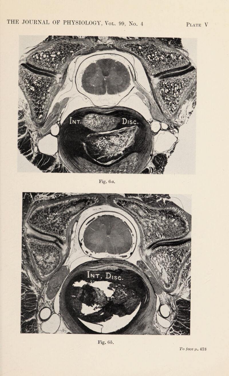 Fig. 6 a. Fig. 6 b To face p. 478