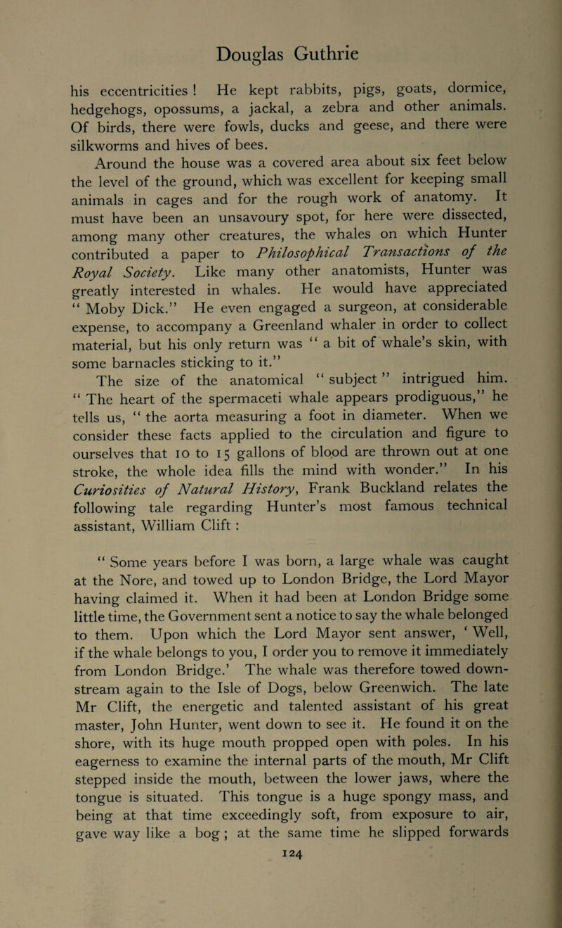 his eccentricities ! He kept rabbits, pigs, goats, dormice, hedgehogs, opossums, a jackal, a zebra and other animals. Of birds, there were fowls, ducks and geese, and there were silkworms and hives of bees. Around the house was a covered area about six feet below the level of the ground, which was excellent for keeping small animals in cages and for the rough work of anatomy. It must have been an unsavoury spot, for here were dissected, among many other creatures, the whales on which Hunter contributed a paper to Philosophical Transactions of the Royal Society. Like many other anatomists, Hunter was greatly interested in whales. He would have appreciated “ Moby Dick.” He even engaged a surgeon, at considerable expense, to accompany a Greenland whaler in order to collect material, but his only return was “a bit of whale’s skin, with some barnacles sticking to it.” The size of the anatomical “ subject ” intrigued him. “ The heart of the spermaceti whale appears prodiguous,” he tells us, “ the aorta measuring a foot in diameter. When we consider these facts applied to the circulation and figure to ourselves that io to 15 gallons of blood are thrown out at one stroke, the whole idea fills the mind with wonder.” In his Curiosities of Natural History, Frank Buckland relates the following tale regarding Hunter’s most famous technical assistant, William Clift : “ Some years before I was born, a large whale was caught at the Nore, and towed up to London Bridge, the Lord Mayor having claimed it. When it had been at London Bridge some little time, the Government sent a notice to say the whale belonged to them. Upon which the Lord Mayor sent answer, ‘ Well, if the whale belongs to you, I order you to remove it immediately from London Bridge.’ The whale was therefore towed down¬ stream again to the Isle of Dogs, below Greenwich. The late Mr Clift, the energetic and talented assistant of his great master, John Hunter, went down to see it. He found it on the shore, with its huge mouth propped open with poles. In his eagerness to examine the internal parts of the mouth, Mr Clift stepped inside the mouth, between the lower jaws, where the tongue is situated. This tongue is a huge spongy mass, and being at that time exceedingly soft, from exposure to air, gave way like a bog ; at the same time he slipped forwards
