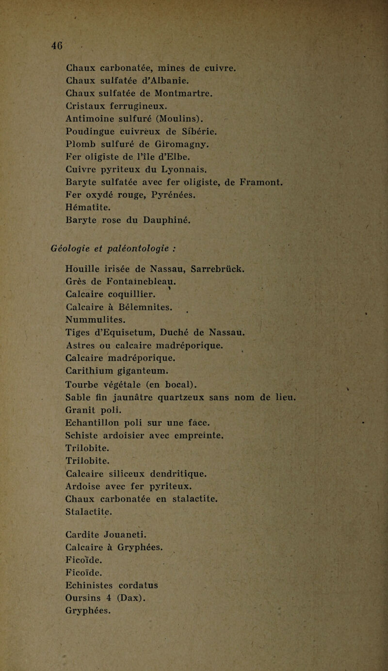 Chaux carbonatée, mines de cuivre. Chaux sulfatée d’Albanie. Chaux sulfatée de Montmartre. Cristaux ferrugineux. Antimoine sulfuré (Moulins). Poudingue cuivreux de Sibérie. Plomb sulfuré de Giromagny. Fer oligiste de l’île d’Elbe. Cuivre pyriteux du Lyonnais. Baryte sulfatée avec fer nligiste, de Framont. Fer oxydé rouge, Pjrrénées. Hématite. Baryte rose du Dauphiné. Géologie et paléontologie : Houille irisée de Nassau, Sarrebrück. Grès de Fontainebleau. i Calcaire coquillier. Calcaire à Bélemnites. Nummulites. Tiges d’Equisetum, Duché de Nassau. Astres ou calcaire madréporique. / * Calcaire madréporique. Carithium giganteum. Tourbe végétale (en bocal). Sable fin jaunâtre quartzeux sans nom de lieu. Granit poli. Echantillon poli sur une face. Schiste ardoisier avec empreinte. Trilobite. Trilobite. Calcaire siliceux dendritique. Ardoise avec fer pyriteux. Chaux carbonatée en stalactite. Stalactite. Cardite Jouaneti. Calcaire à Gryphées. Fico'ïde. Ficoïde. Echinistes cordatus Oursins 4 (Dax). Gryphées.