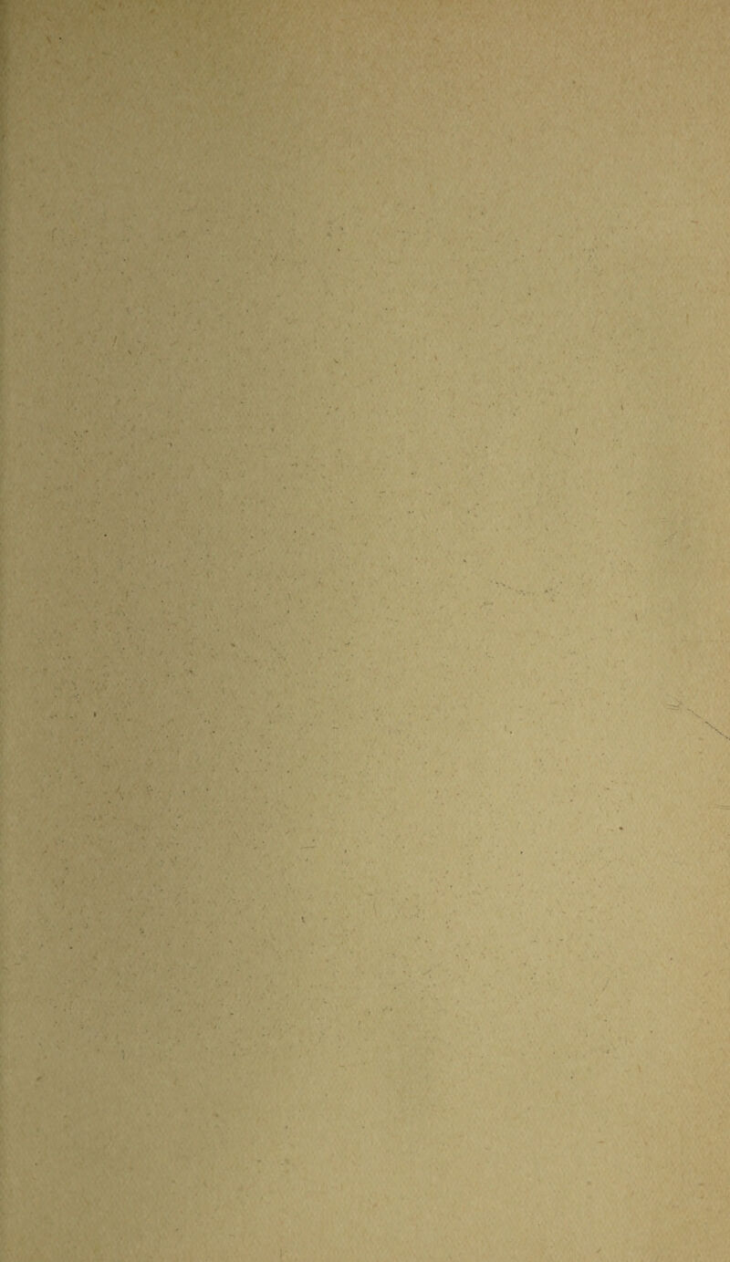 f t . ! 7 . \ l ►' »» \ . . /