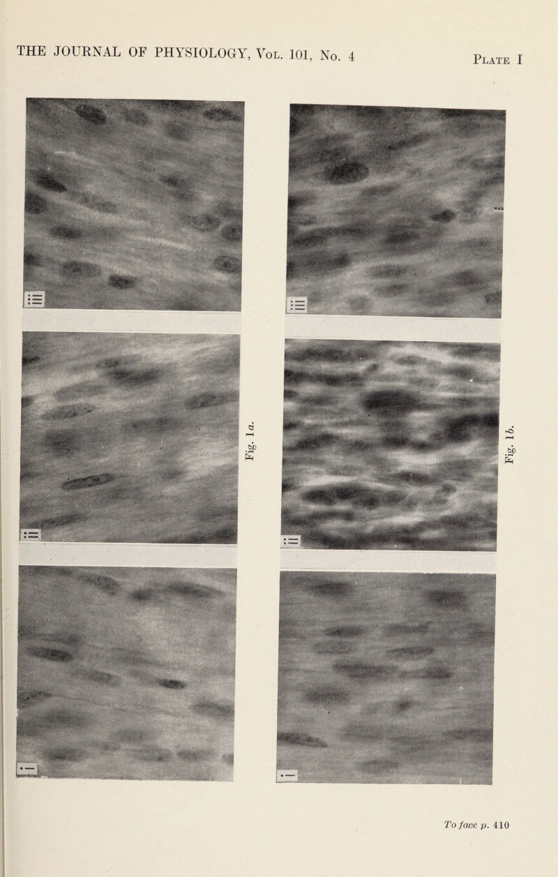 To face p. 410 Fig. 16