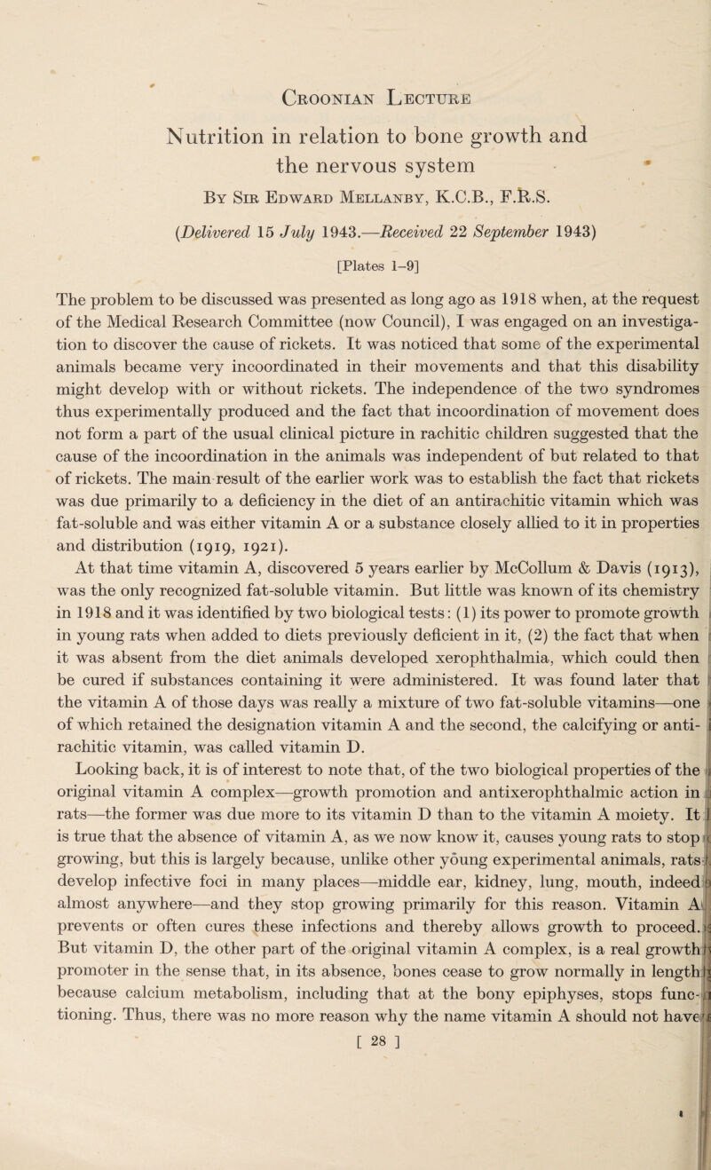 0 Nutrition in relation to bone growth and the nervous system By Sir Edward Mellanby, K.C.B., F.R.S. (Delivered 15 July 1943.—Received 22 September 1943) [Plates 1-9] The problem to be discussed was presented as long ago as 1918 when, at the request of the Medical Research Committee (now Council), I was engaged on an investiga¬ tion to discover the cause of rickets. It was noticed that some of the experimental animals became very incoordinated in their movements and that this disability might develop with or without rickets. The independence of the two syndromes thus experimentally produced and the fact that incoordination of movement does not form a part of the usual clinical picture in rachitic children suggested that the cause of the incoordination in the animals was independent of but related to that of rickets. The main result of the earlier work was to establish the fact that rickets was due primarily to a deficiency in the diet of an antirachitic vitamin which was fat-soluble and was either vitamin A or a substance closely allied to it in properties and distribution (1919, 1921). At that time vitamin A, discovered 5 years earlier by McCollum & Davis (1913), was the only recognized fat-soluble vitamin. But little was known of its chemistry in 1918 and it was identified by two biological tests: (1) its power to promote growth in young rats when added to diets previously deficient in it, (2) the fact that when it was absent from the diet animals developed xerophthalmia, which could then be cured if substances containing it were administered. It was found later that the vitamin A of those days was really a mixture of two fat-soluble vitamins—one of which retained the designation vitamin A and the second, the calcifying or anti- i rachitic vitamin, was called vitamin D. Looking back, it is of interest to note that, of the two biological properties of the j original vitamin A complex—growth promotion and antixerophthalmic action in rats—the former was due more to its vitamin D than to the vitamin A moiety. It i is true that the absence of vitamin A, as we now know it, causes young rats to stop • growing, but this is largely because, unlike other young experimental animals, rats4 develop infective foci in many places—middle ear, kidney, lung, mouth, indeed 9 almost anywhere—and they stop growing primarily for this reason. Vitamin A prevents or often cures these infections and thereby allows growth to proceed. | But vitamin D, the other part of the original vitamin A complex, is a real growth h promoter in the sense that, in its absence, bones cease to grow normally in length Ij because calcium metabolism, including that at the bony epiphyses, stops func- j tioning. Thus, there was no more reason why the name vitamin A should not have (J