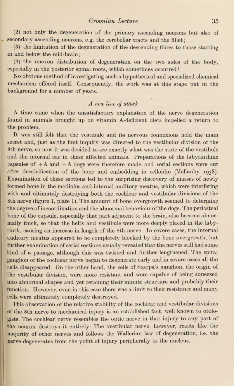(2) not only the degeneration of the primary ascending neurons but also of secondary ascending neurons, e.g. the cerebellar tracts and the fillet; (3) the limitation of the degeneration of the descending fibres to those starting in and below the mid-brain; (4) the uneven distribution of degeneration on the two sides of the body, especially in the posterior spinal roots, which sometimes occurred? No obvious method of investigating such a hypothetical and specialized chemical mechanism offered itself. Consequently, the work was at this stage put in the background for a number of years. A new line of attack A time came when the unsatisfactory explanation of the nerve degeneration found in animals brought up on vitamin A-deficient diets impelled a return to the problem. It was still felt that the vestibule and its nervous connexions held the main secret and, just as the first inquiry was directed to the vestibular division of the 8th nerve, so now it was decided to see exactly what was the state of the vestibule and the internal ear in these affected animals. Preparations of the labyrinthine capsules of +A and — A dogs were therefore made and serial sections were cut after decalcification of the bone and embedding in celloidin (Mellanby 1938). Examination of these sections led to the surprising discovery of masses of newly formed bone in the modiolus and internal auditory meatus, which were interfering with and ultimately destroying both the cochlear and vestibular divisions of the 8th nerve (figure 1, plate 1). The amount of bone overgrowth seemed to determine the degree of incoordination and the abnormal behaviour of the dogs. The periosteal bone of the capsule, especially that part adjacent to the brain, also became abnor¬ mally thick, so that the helix and vestibule were more deeply placed in the laby¬ rinth, causing an increase in length of the 8th nerve. In severe cases, the internal auditory meatus appeared to be completely blocked by the bone overgrowth, but further examination of serial sections usually revealed that the nerves still had some kind of a passage, although this was twisted and further lengthened. The spiral ganglion of the cochlear nerve began to degenerate early and in severe cases all the cells disappeared. On the other hand, the cells of Scarpa’s ganglion, the origin of the vestibular division, were more resistant and were capable of being squeezed into abnormal shapes and yet retaining their minute structure and probably their function. However, even in this case there was a limit to their resistance and many cells were ultimately completely destroyed. This observation of the relative stability of the cochlear and vestibular divisions of the 8th nerve to mechanical injury is an established fact, well known to otolo¬ gists. The cochlear nerve resembles the optic nerve in that injury to any part of the neuron destroys it entirely. The vestibular nerve, however, reacts like the majority of other nerves and follows the Wallerian law of degeneration, i.e. the nerve degenerates from the point of injury peripherally to the nucleus.