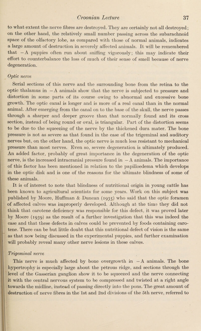 to what extent the nerve fibres are destroyed. They are certainly not all destroyed; on the other hand, the relatively small number passing across the subarachnoid space of the olfactory lobe, as compared with those of normal animals, indicates a large amount of destruction in severely affected animals. It will be remembered that —A puppies often run about sniffing vigorously; this may indicate their effort to counterbalance the loss of much of their sense of smell because of nerve degeneration. Optic nerve Serial sections of this nerve and the surrounding bone from the retina to the optic thalamus in —A animals show that the nerve is subjected to pressure and distortion in some parts of its course owing to abnormal and excessive bone growth. The optic canal is longer and is more of a real canal than in the normal animal. After emerging from the canal on to the base of the skull, the nerve passes through a sharper and deeper groove than that normally found and its cross section, instead of being round or oval, is triangular. Part of the distortion seems to be due to the squeezing of the nerve by the thickened dura mater. The bone pressure is not as severe as that found in the case of the trigeminal and auditory nerves but, on the other hand, the optic nerve is much less resistant to mechanical pressure than most nerves. Even so, severe degeneration is ultimately produced. An added factor, probably of great importance in the degeneration of the optic nerve, is the increased intracranial pressure found in — A animals. The importance of this factor has been mentioned in relation to the papilloedema which develops in the optic disk and is one of the reasons for the ultimate blindness of some of these animals. It is of interest to note that blindness of nutritional origin in young cattle has been known to agricultural scientists for some years. Work on this subject was published by Moore, Huffman & Duncan (1935) who said that the optic foramen of affected calves was improperly developed. Although at the time they did not think that carotene deficiency was responsible for this defect, it was proved later by Moore (1939) as the result of a further investigation that this was indeed the case and that these defects in calves could be prevented by foods containing caro¬ tene. There can be but little doubt that this nutritional defect of vision is the same as that now being discussed in the experimental puppies, and further examination will probably reveal many other nerve lesions in these calves. Trigeminal nerve This nerve is much affected by bone overgrowth in —A animals. The bone hypertrophy is especially large about the petrous ridge, and sections through the level of the Gasserian ganglion show it to be squeezed and the nerve connecting it with the central nervous system to be compressed and twisted at a right angle towards the midline, instead of passing directly into the pons. The great amount of destruction of nerve fibres in the 1st and 2nd divisions of the 5th nerve, referred to