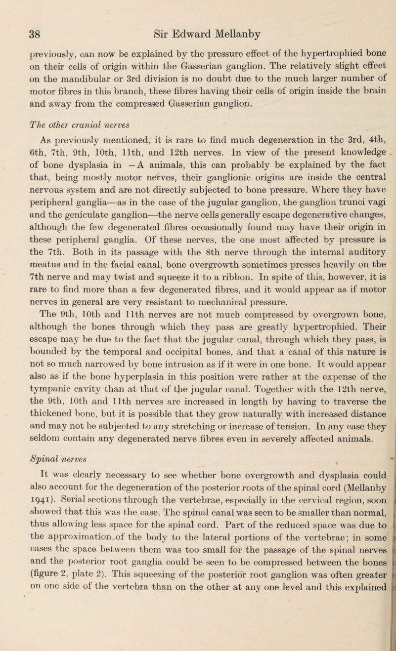 previously, can now be explained by the pressure effect of the hypertrophied bone on their cells of origin within the Gasserian ganglion. The relatively slight effect on the mandibular or 3rd division is no doubt due to the much larger number of motor fibres in this branch, these fibres having their cells of origin inside the brain and away from the compressed Gasserian ganglion. The other cranial nerves As previously mentioned, it is rare to find much degeneration in the 3rd, 4th, 6th, 7th, 9th, 10th, 11th, and 12th nerves. In view of the present knowledge of bone dysplasia in —A animals, this can probably be explained by the fact that, being mostly motor nerves, their ganglionic origins are inside the central nervous system and are not directly subjected to bone pressure. Where they have peripheral ganglia—as in the case of the jugular ganglion, the ganglion trunci vagi and the geniculate ganglion—the nerve cells generally escape degenerative changes, although the few degenerated fibres occasionally found may have their origin in these peripheral ganglia. Of these nerves, the one most affected by pressure is the 7th. Both in its passage with the 8th nerve through the internal auditory meatus and in the facial canal, bone overgrowth sometimes presses heavily on the 7th nerve and may twist and squeeze it to a ribbon. In spite of this, however, it is rare to find more than a few degenerated fibres, and it would appear as if motor nerves in general are very resistant to mechanical pressure. The 9th, 10th and 11th nerves are not much compressed by overgrown bone, although the bones through which they pass are greatly hypertrophied. Their escape may be due to the fact that the jugular canal, through which they pass, is bounded by the temporal and occipital bones, and that a canal of this nature is not so much narrowed by bone intrusion as if it were in one bone. It would appear also as if the bone hyperplasia in this position were rather at the expense of the tympanic cavity than at that of the jugular canal. Together with the 12th nerve, the 9th, 10th and 11th nerves are increased in length by having to traverse the thickened bone, but it is possible that they grow naturally with increased distance and may not be subjected to any stretching or increase of tension. In any case they seldom contain any degenerated nerve fibres even in severely affected animals. Spinal nerves It was clearly necessary to see whether bone overgrowth and dysplasia could also account for the degeneration of the posterior roots of the spinal cord (Mellanby 1941). Serial sections through the vertebrae, especially in the cervical region, soon 1 showed that this was the case. The spinal canal was seen to be smaller than normal, J thus allowing less space for the spinal cord. Part of the reduced space was due to the approximation.of the body to the lateral portions of the vertebrae; in some cases the space between them was too small for the passage of the spinal nerves i and the posterior root ganglia could be seen to be compressed between the bones i (figure 2, plate 2). This squeezing of the posterior root ganglion was often greater on one side of the vertebra than on the other at any one level and this explained ;